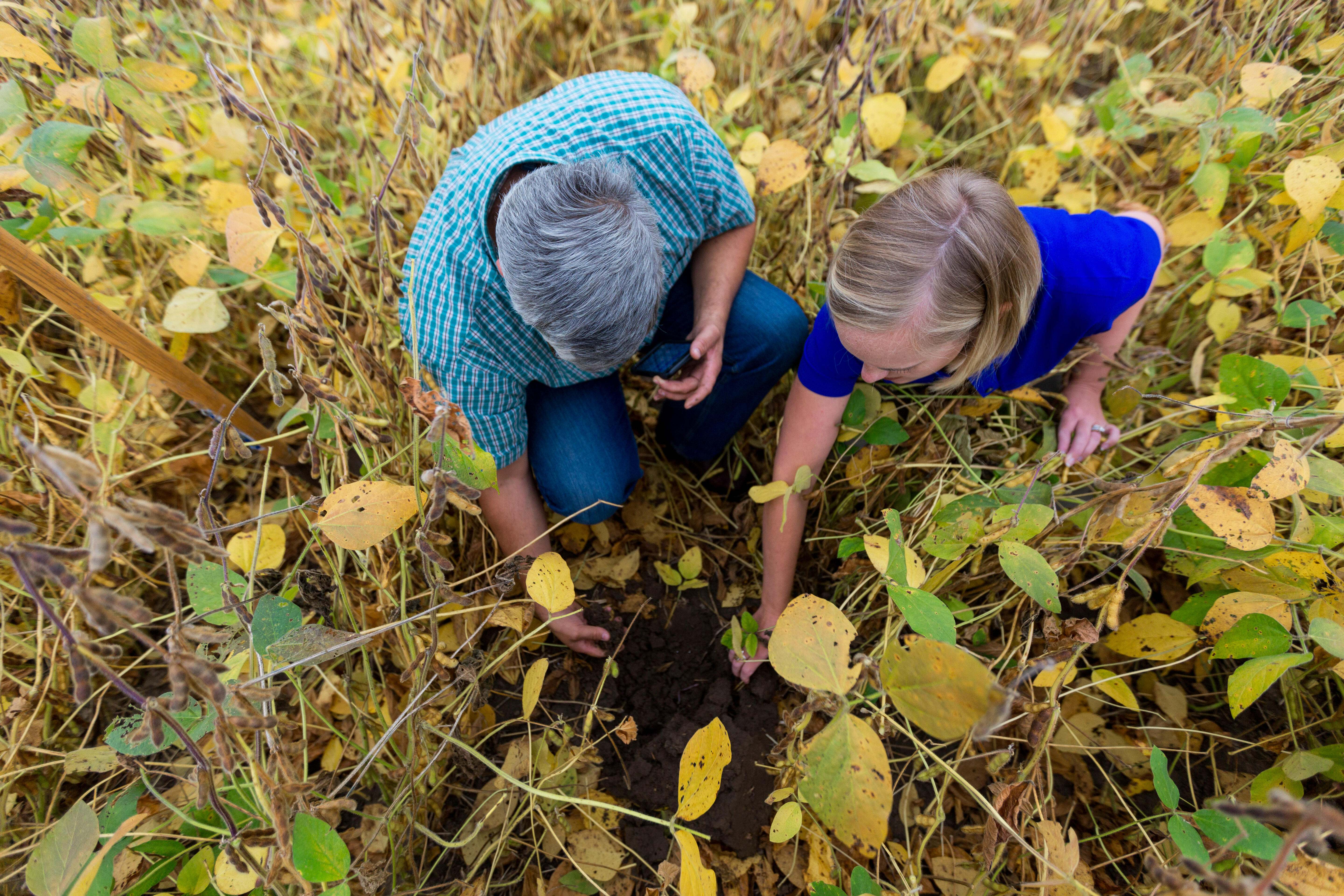 Two people examine the soil in a field. 