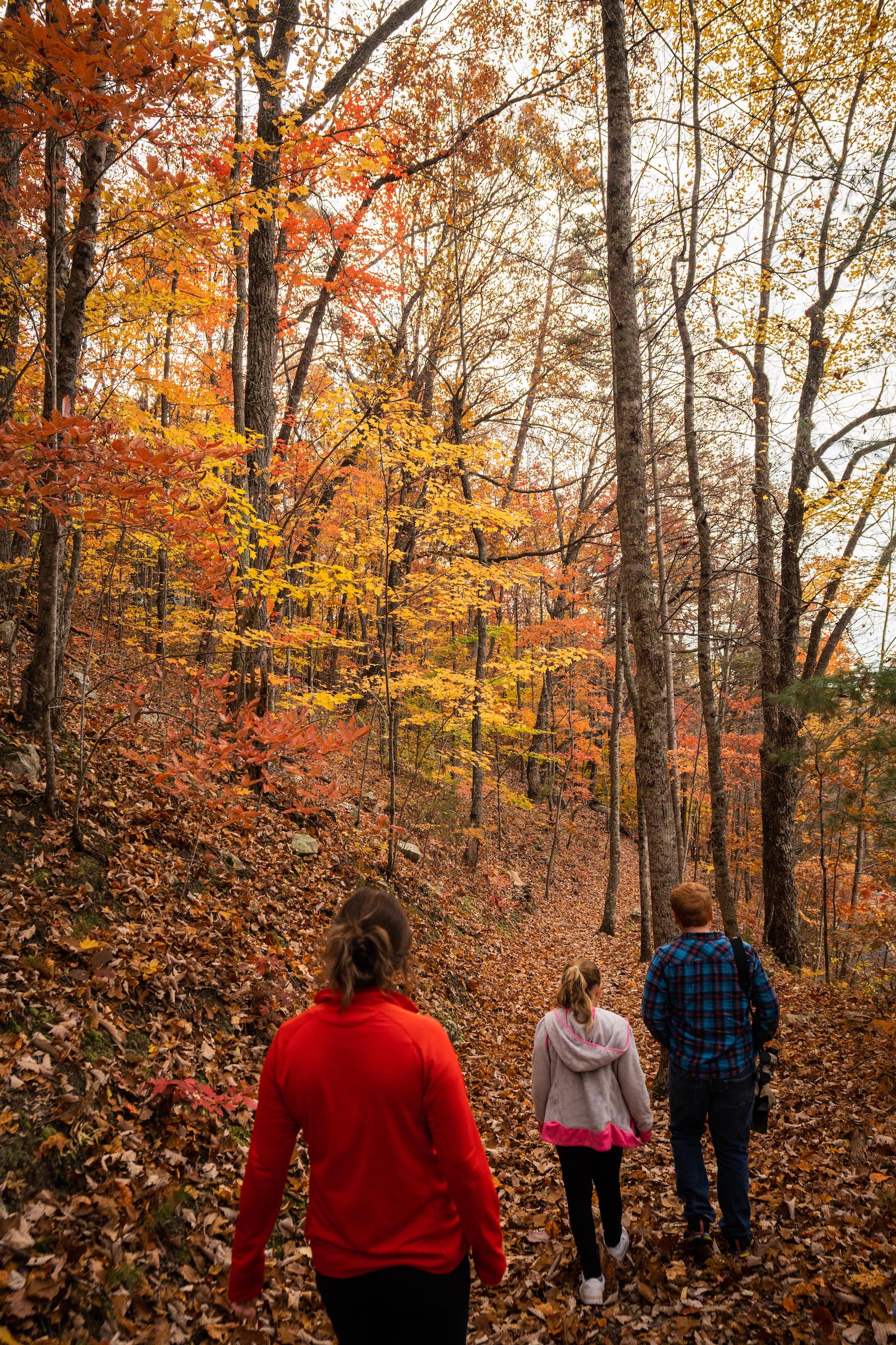 Family of three walking through a forest in the fall.