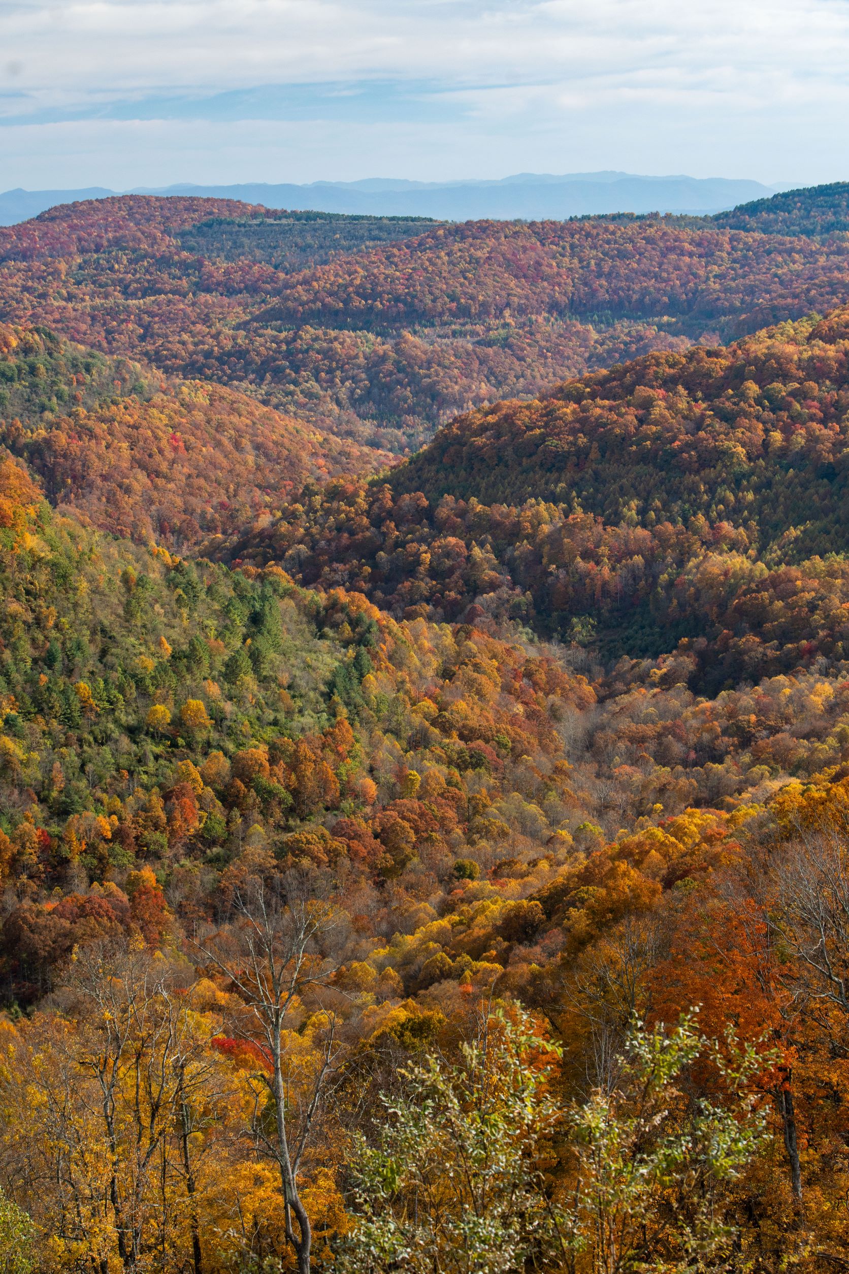 A range of mountains in fall colors.