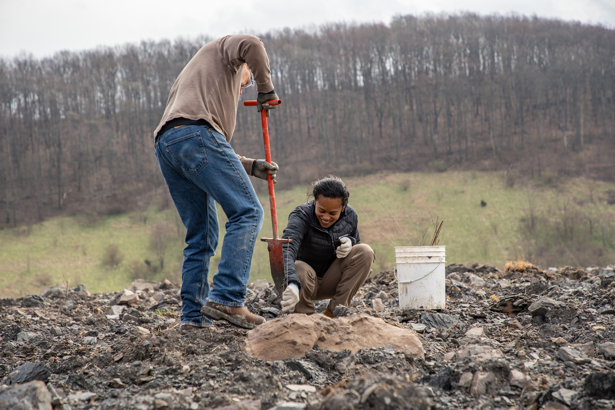 Two volunteers working together doing groundwork.