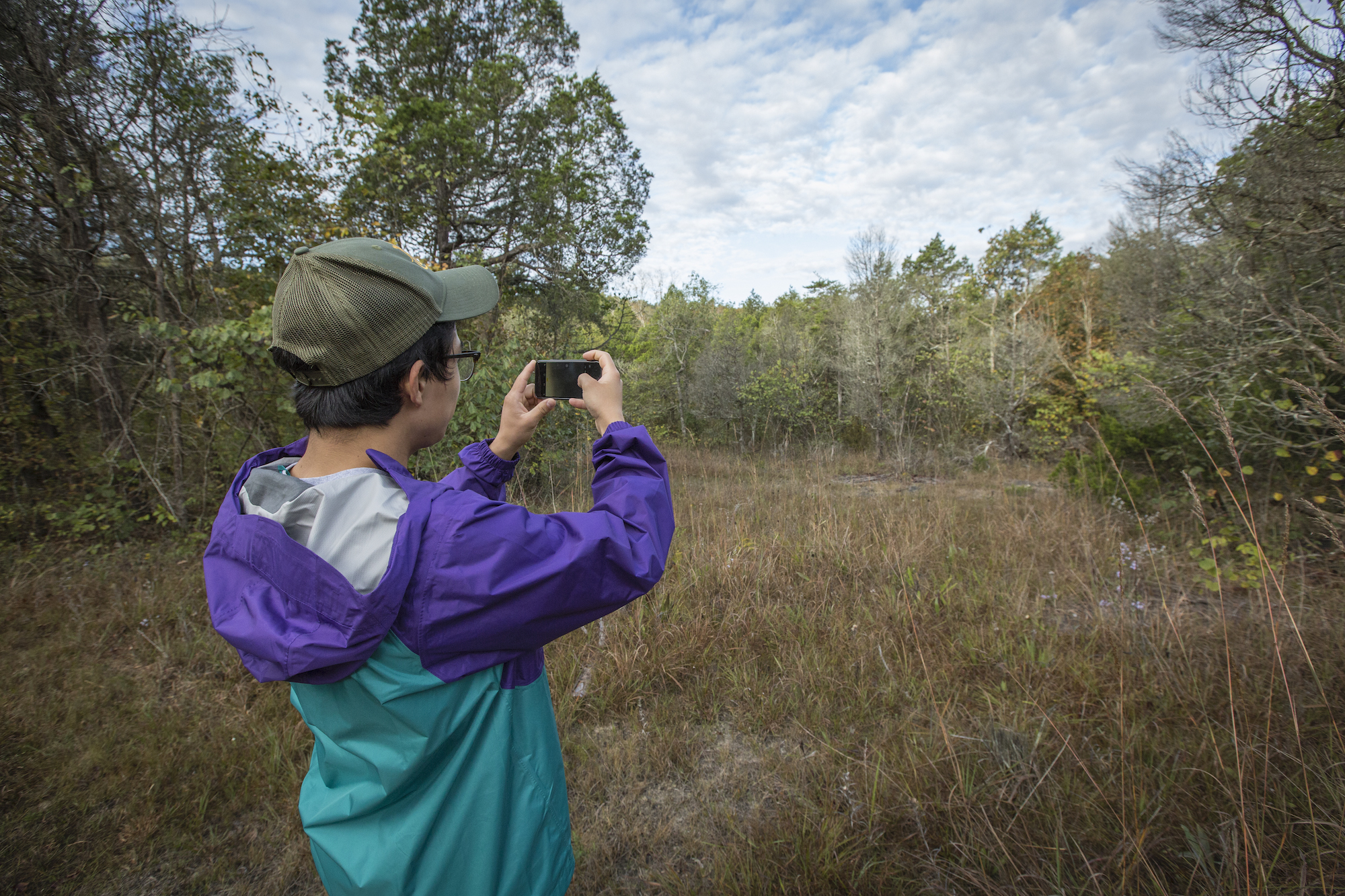 Person taking a picture of a forested natural area.