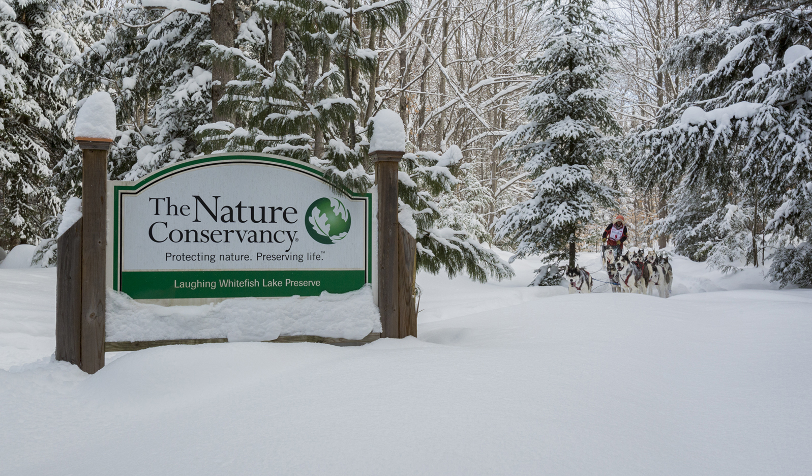 A team of sled dogs move past a snowy preserve sign.