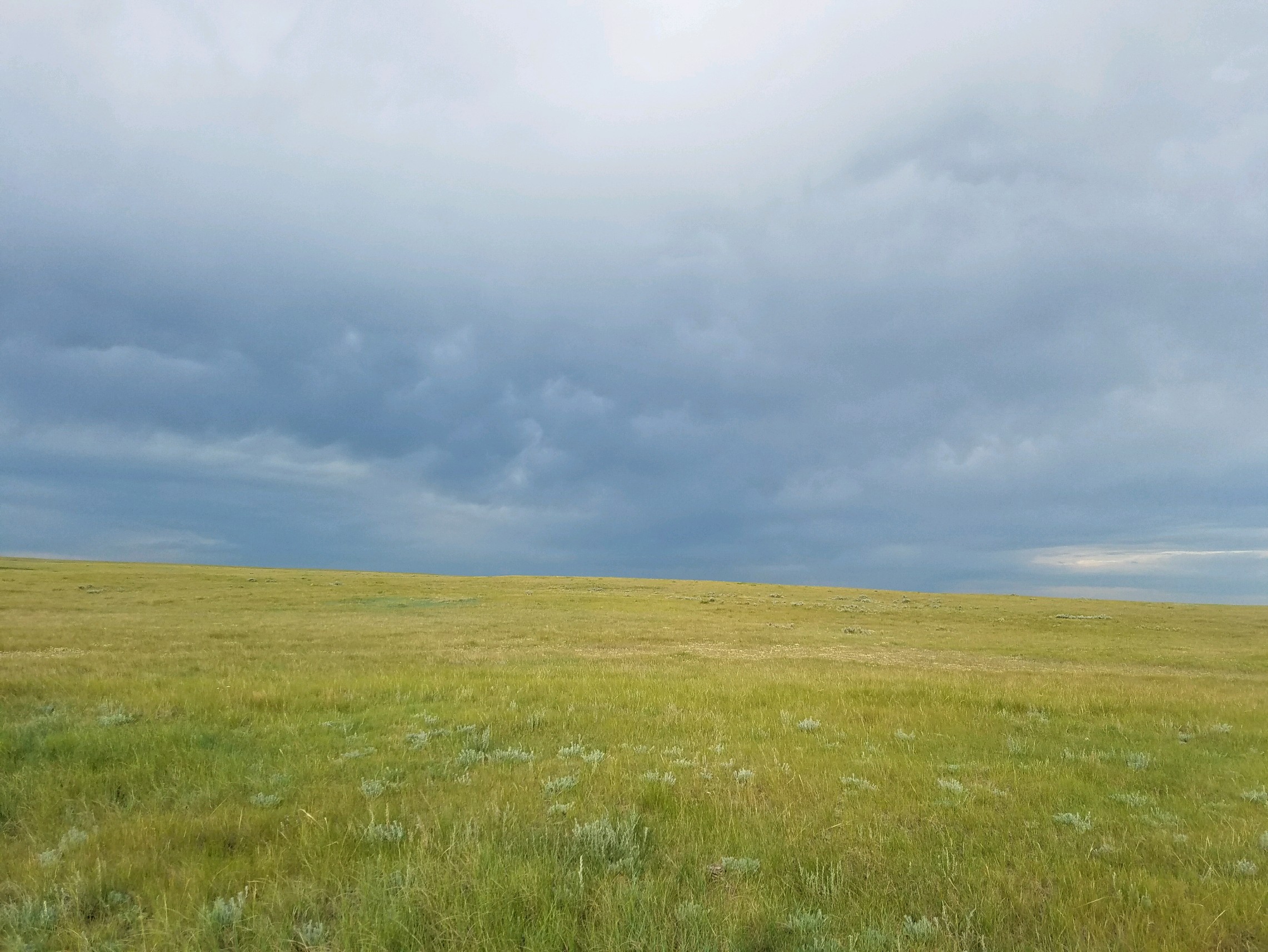 A stormy sky forms over a green field.