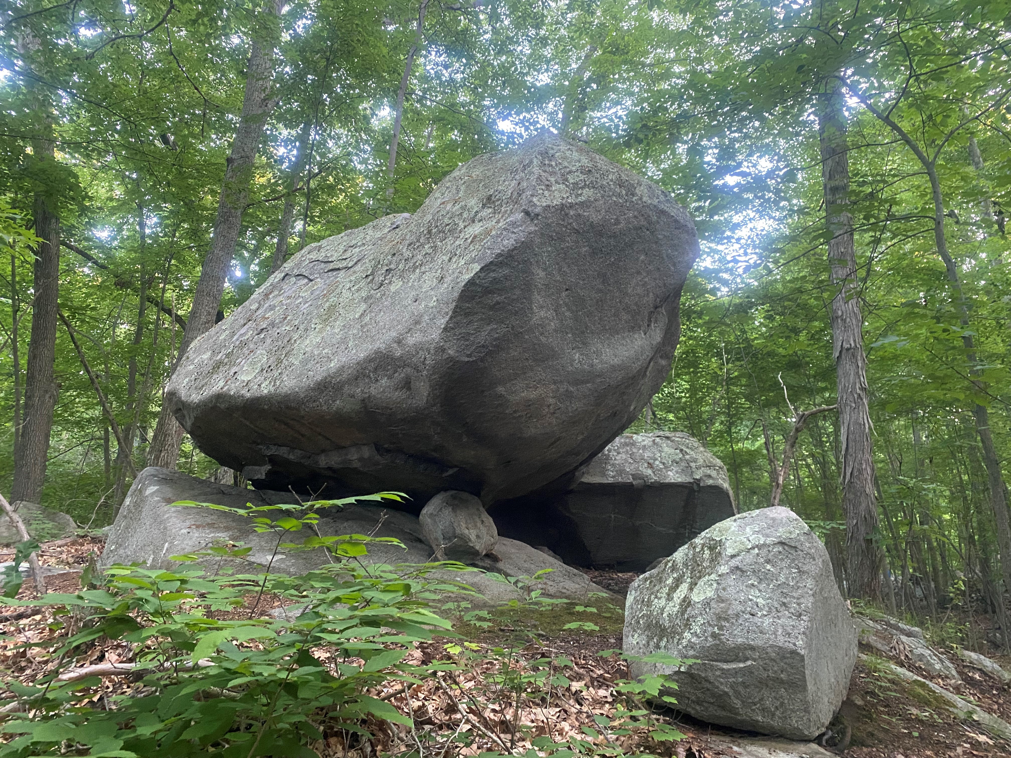 Four glacial erratics clustered on exposed bedrock