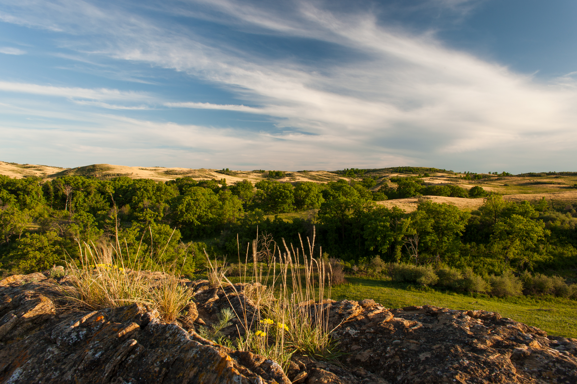 rolling hills with green and beige vegetation.