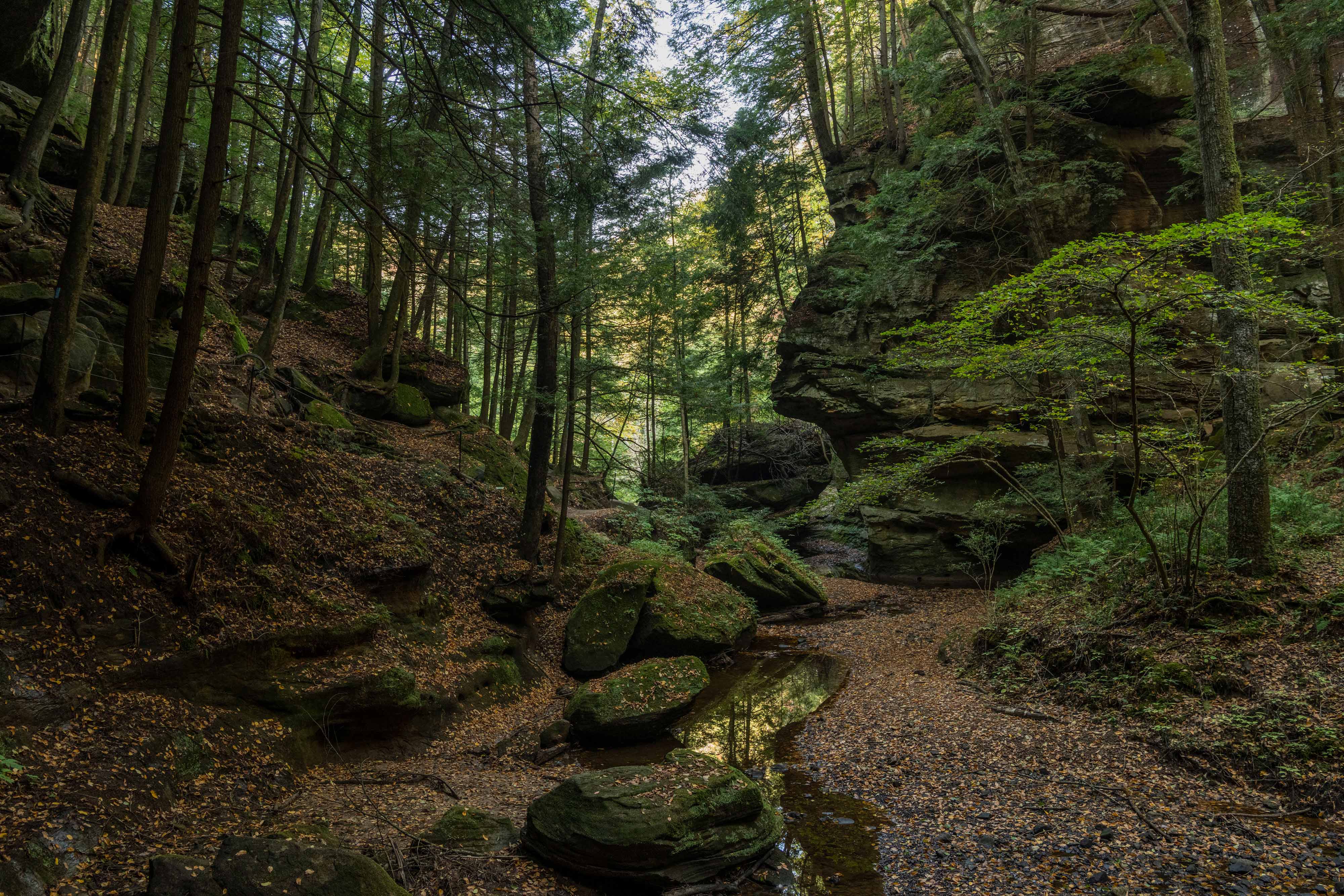 Small creek winds through lush green forest surrounded by rocky outcroppings.