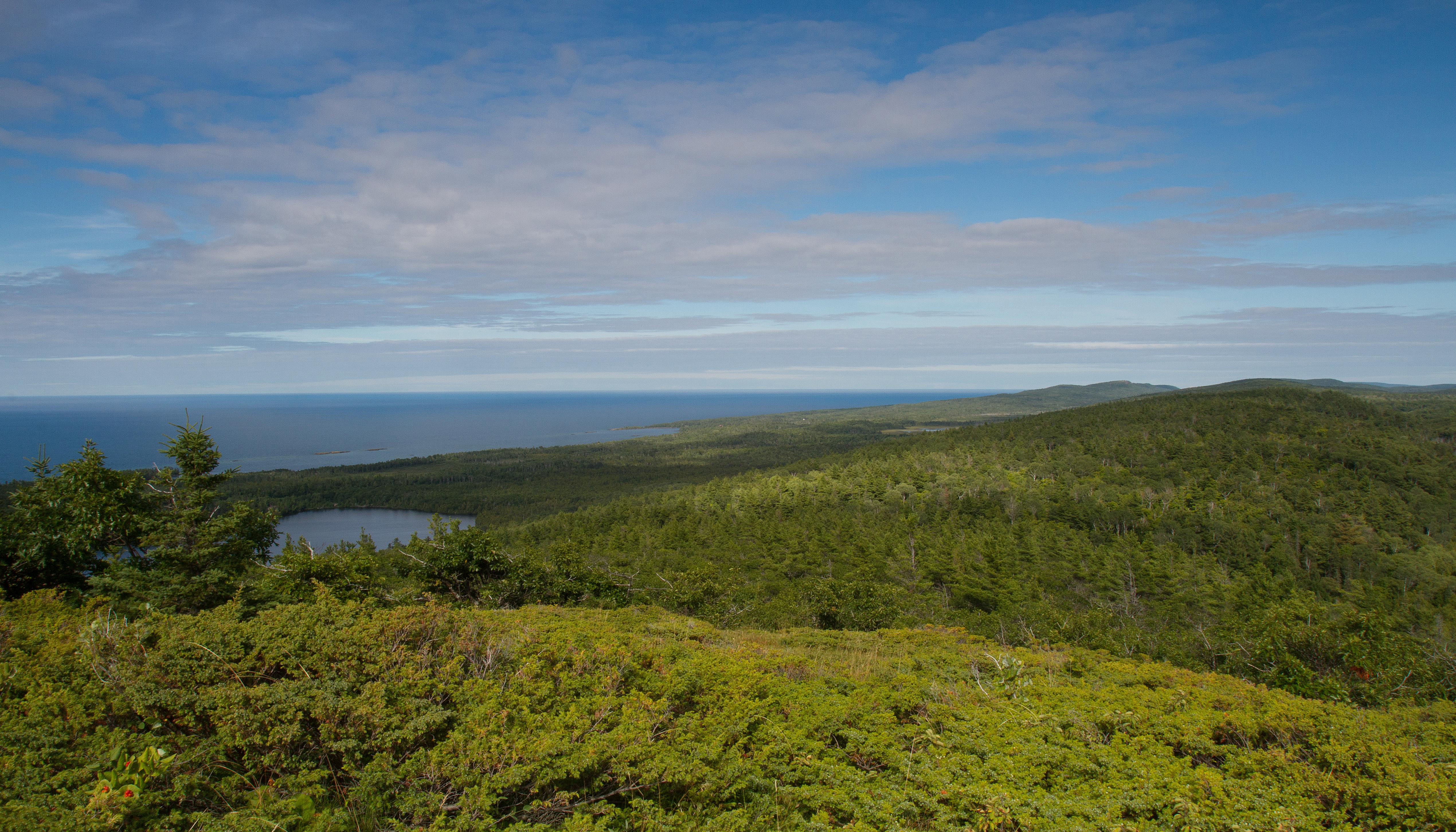 The view of a forest, bright blue lake, and cloudy sky.