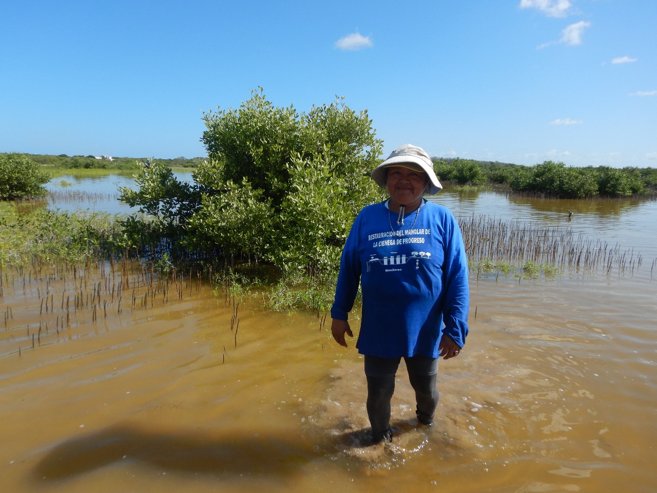 Mujer trabajando en restauración del manglar en México.