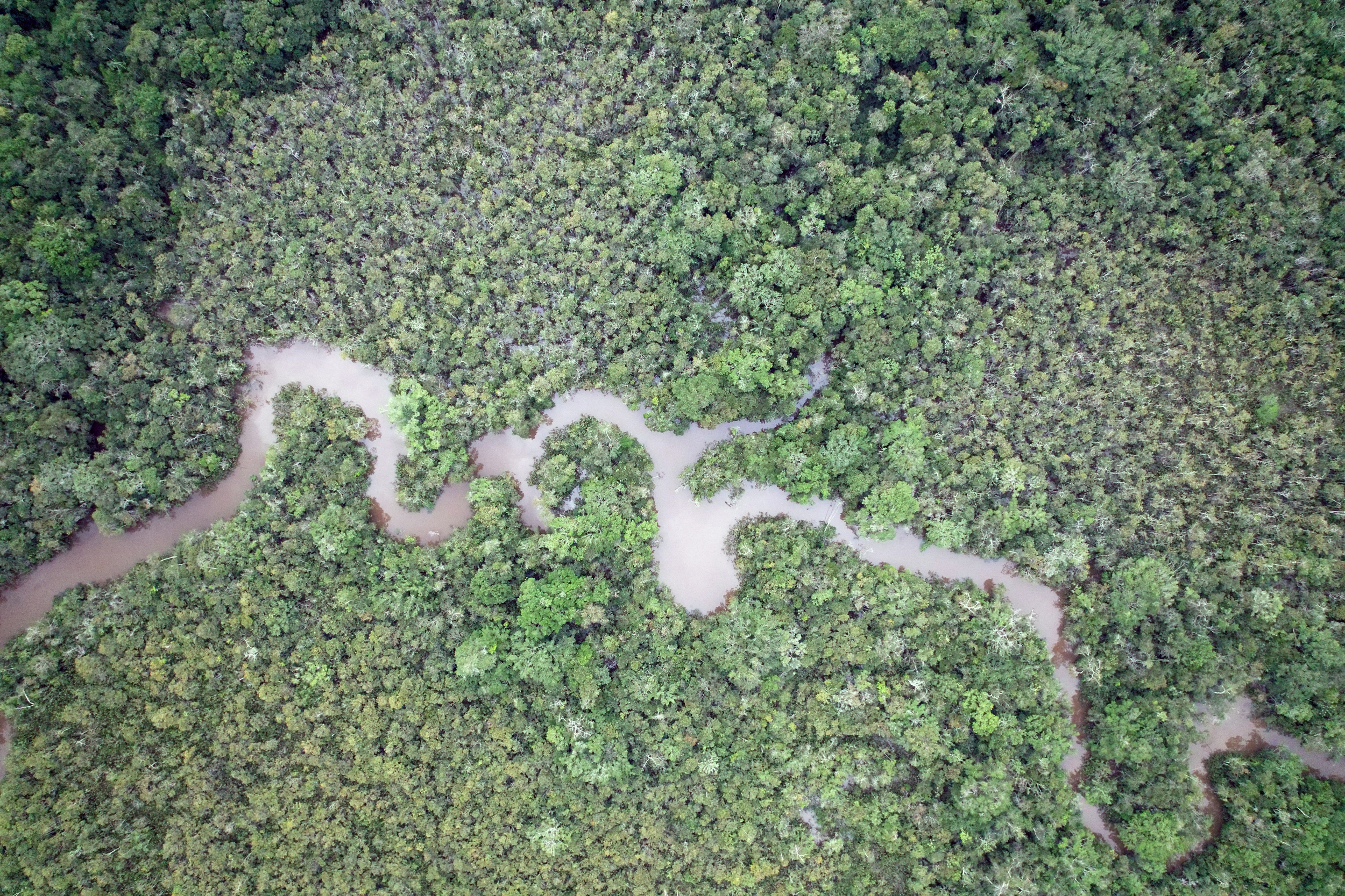 Aerial view of the Amazon River.