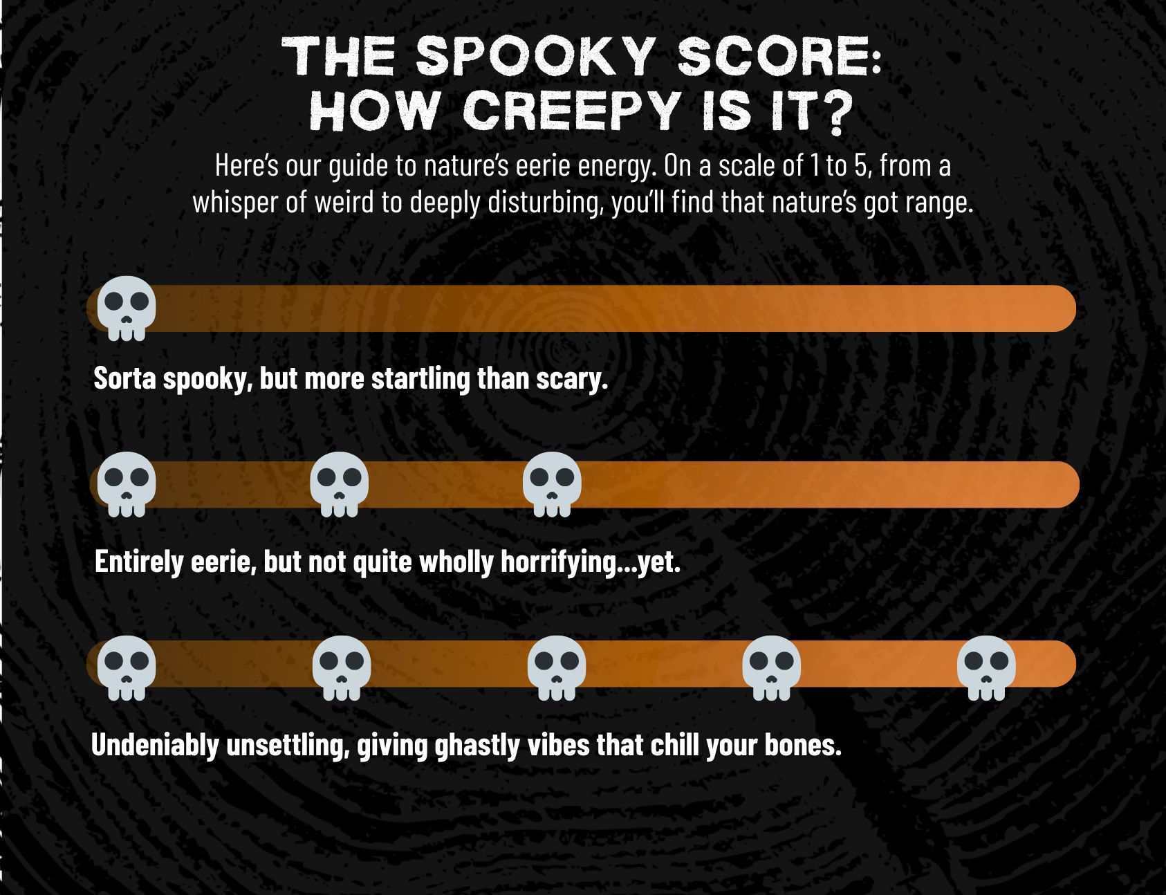 A graphic with emoji skulls explaining that each species has a spooky score of one to 5 skulls.