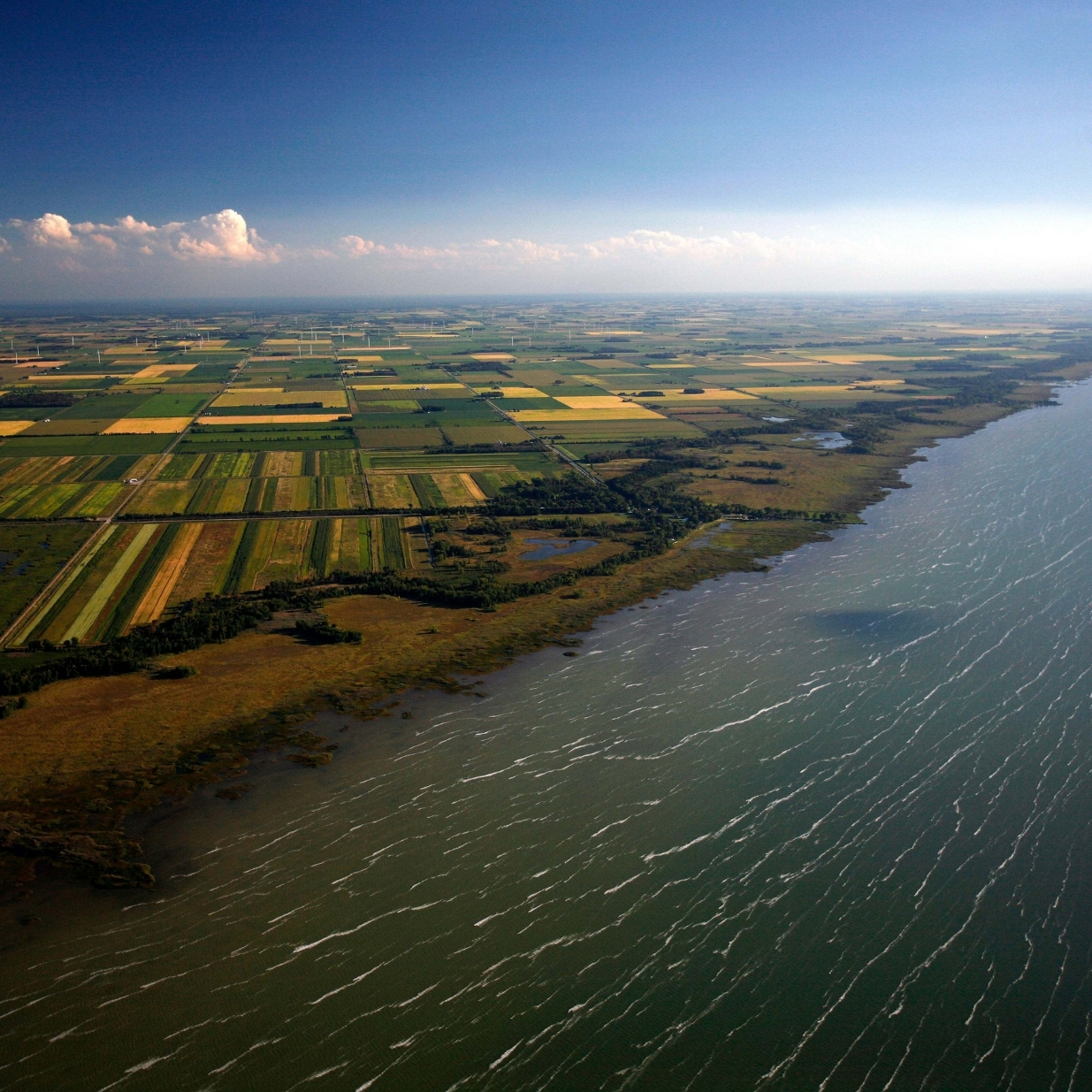 Aerial view of patchwork farmland and coastal wetlands bordering a large lake, with wind turbines scattered across the landscape and wind-streaked water extending along the shoreline beneath a blue sky.