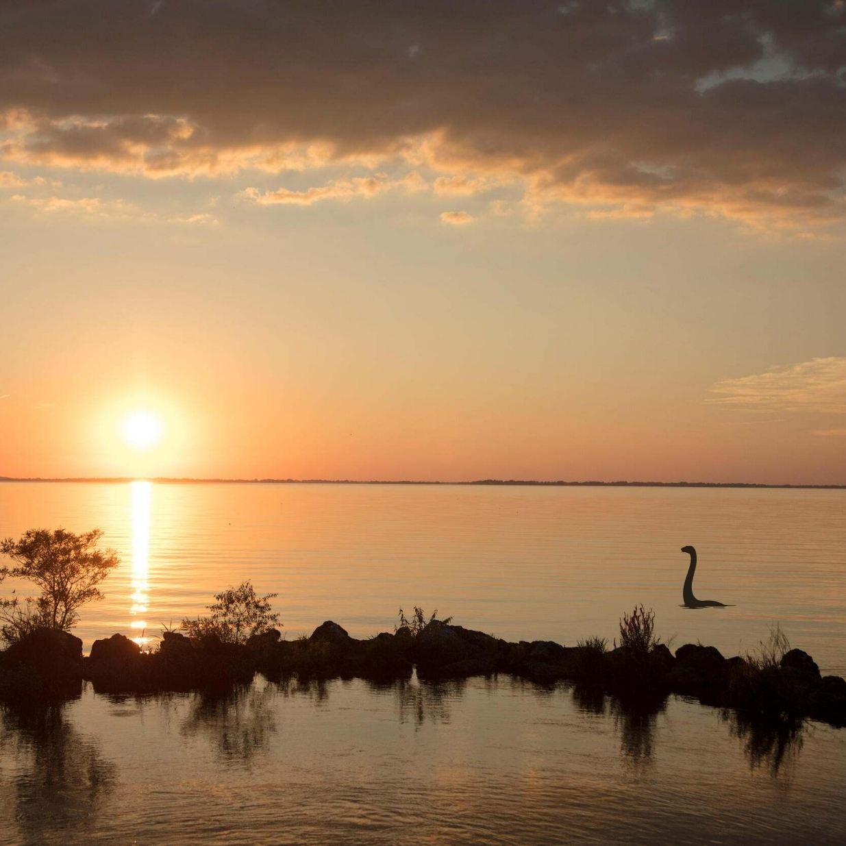Sunset over a calm lake with golden reflections on the water, silhouetted shoreline rocks and vegetation in the foreground, and an added graphic silhouettte of a long-necked lake monster rising from the water near the right side of the image.