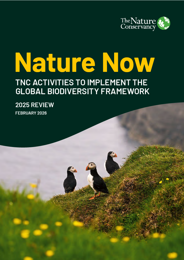 Cover image for Nature Now report.