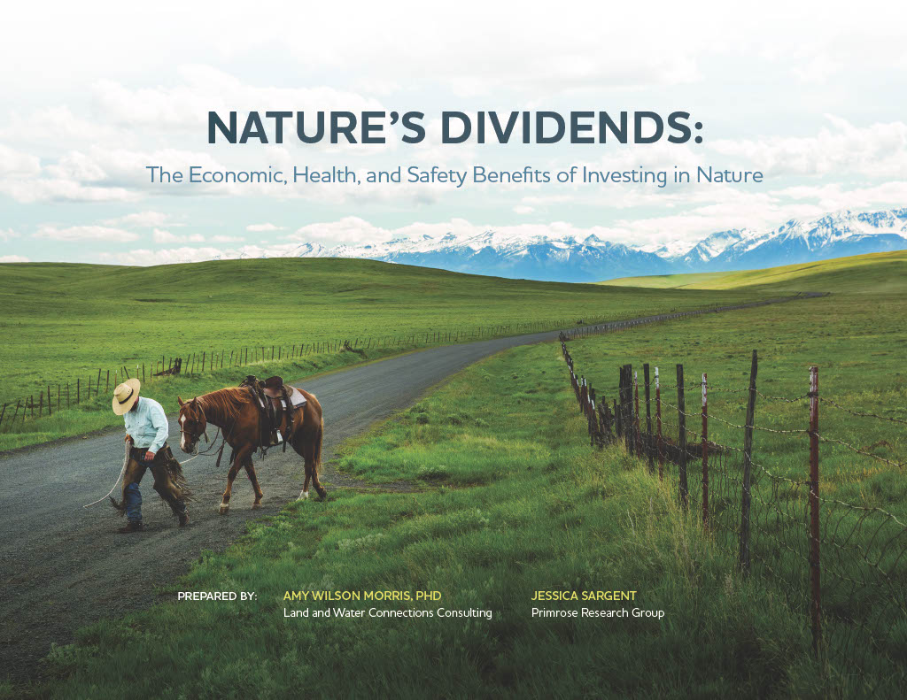 Cover image for Nature's Dividends report.