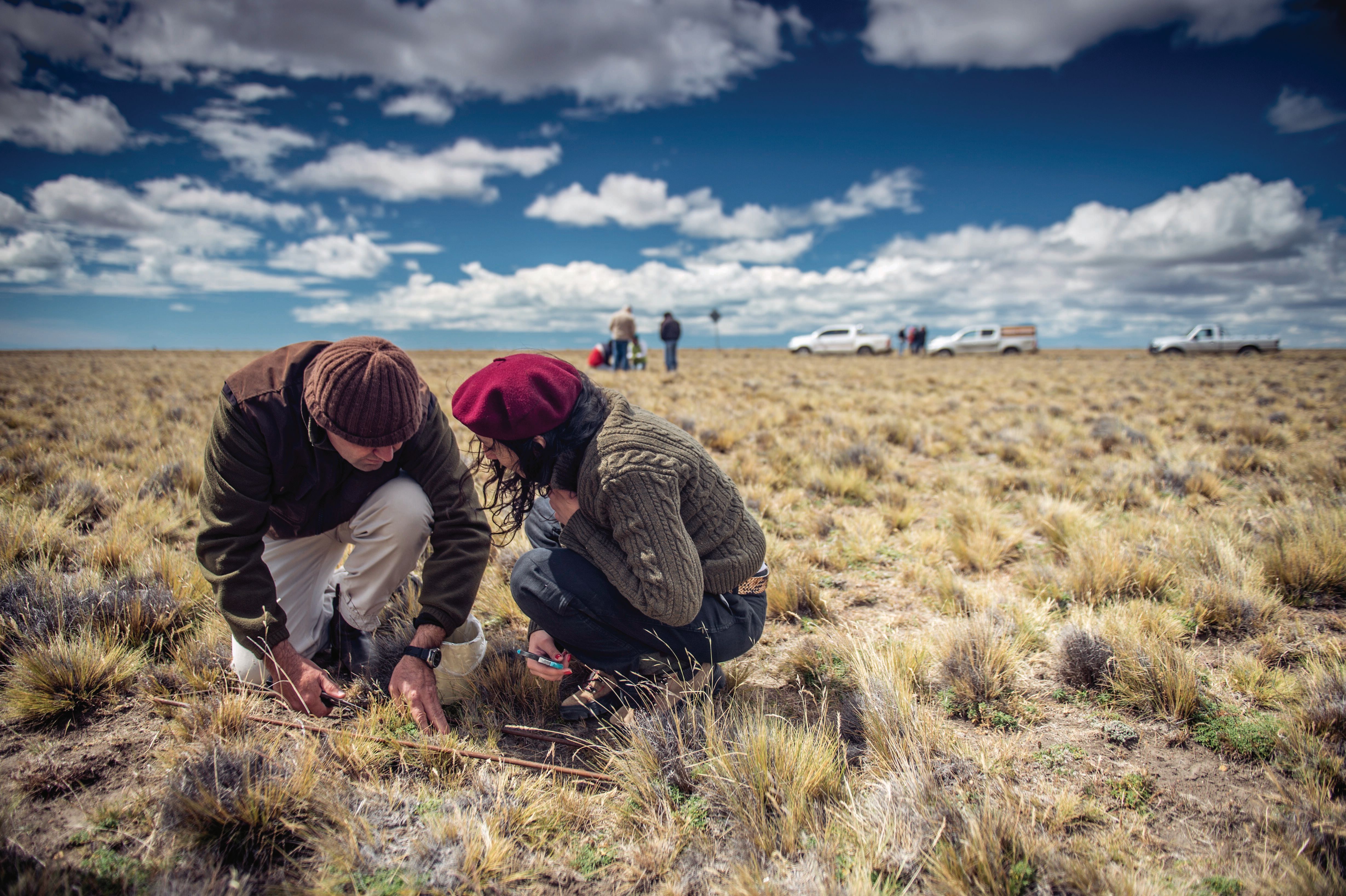 Two people examining a patch of grass wth a truck and other people gathering in the background.