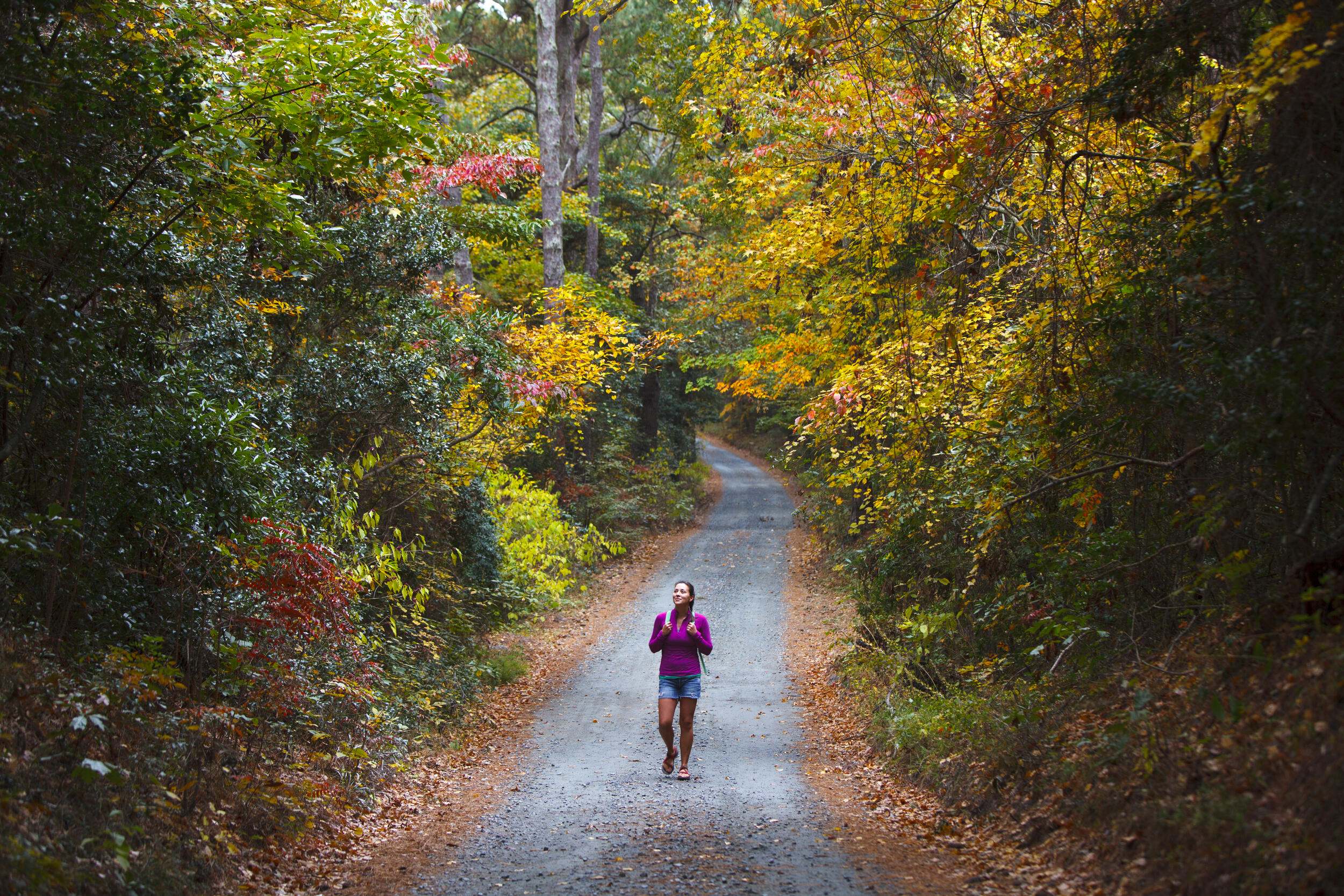 Woman walks on trail surrounded by fall foilage.