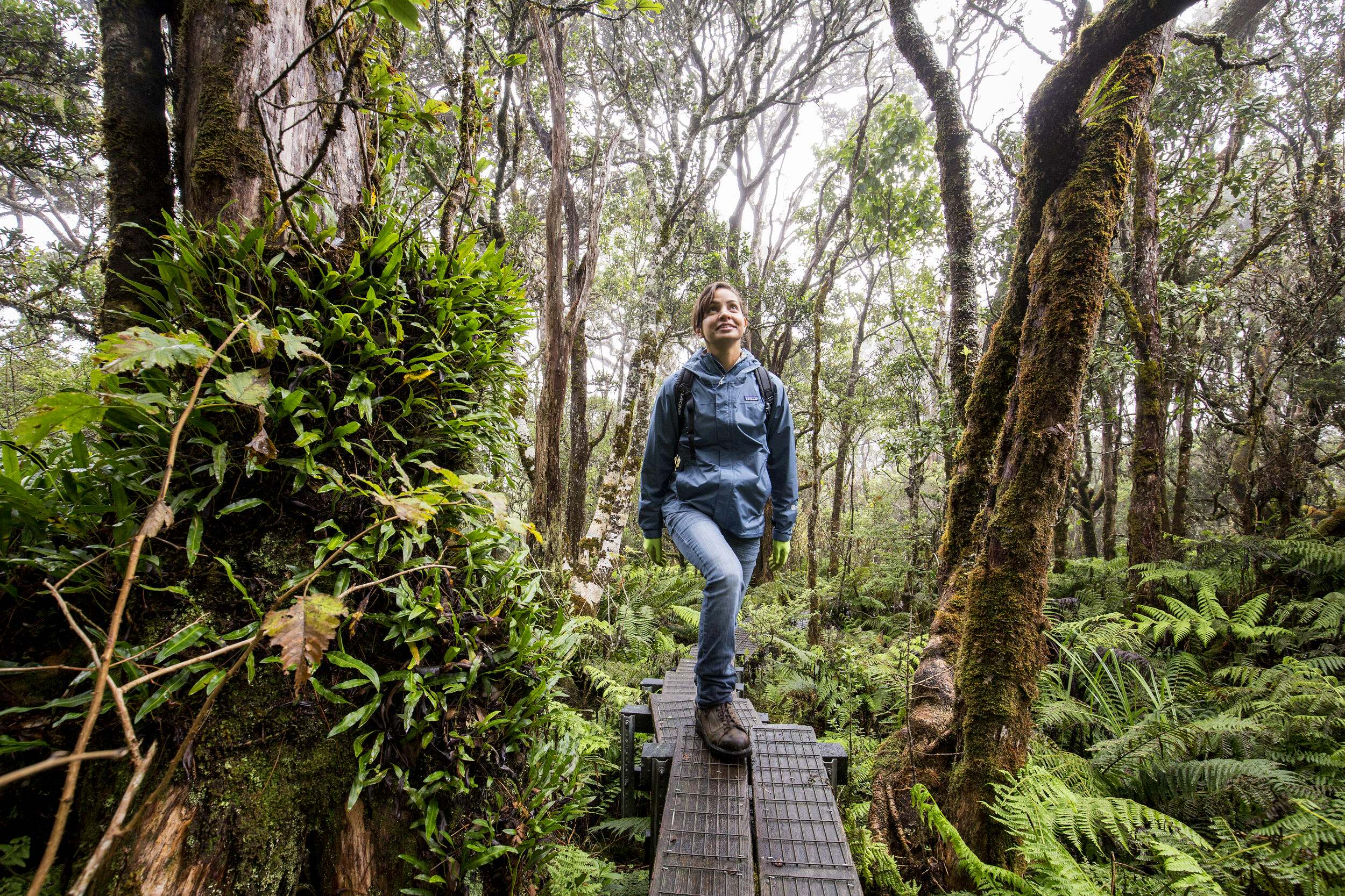 A person stands in a forest on East Maui. 