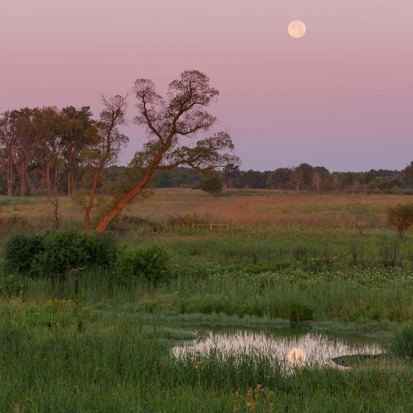 View of a prairie at dusk.
