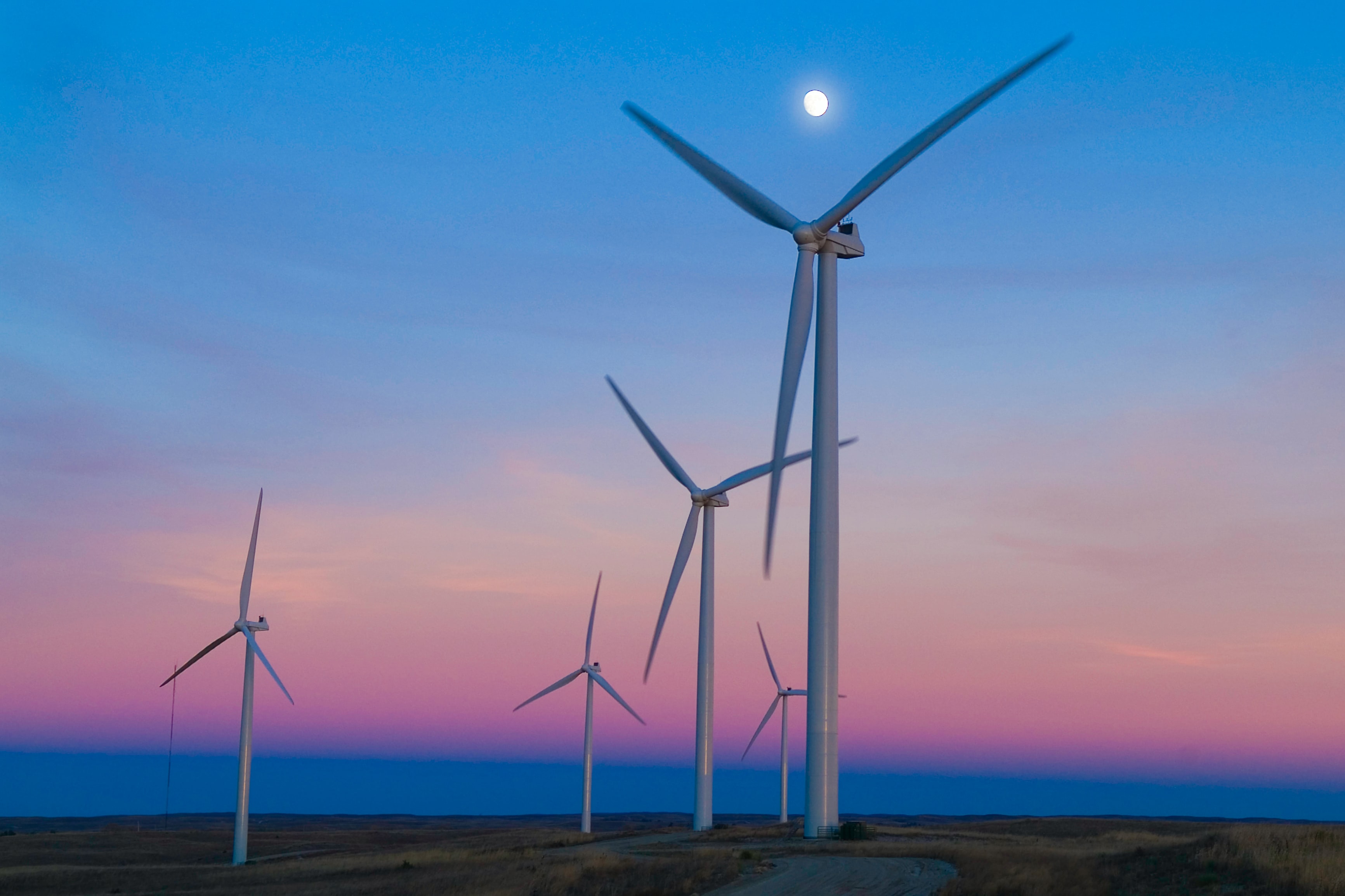 The Nature Conservancy is helping to create a climate-friendly future by advocating for clean energy policy and creating nature-based solutions to the climate crisis.