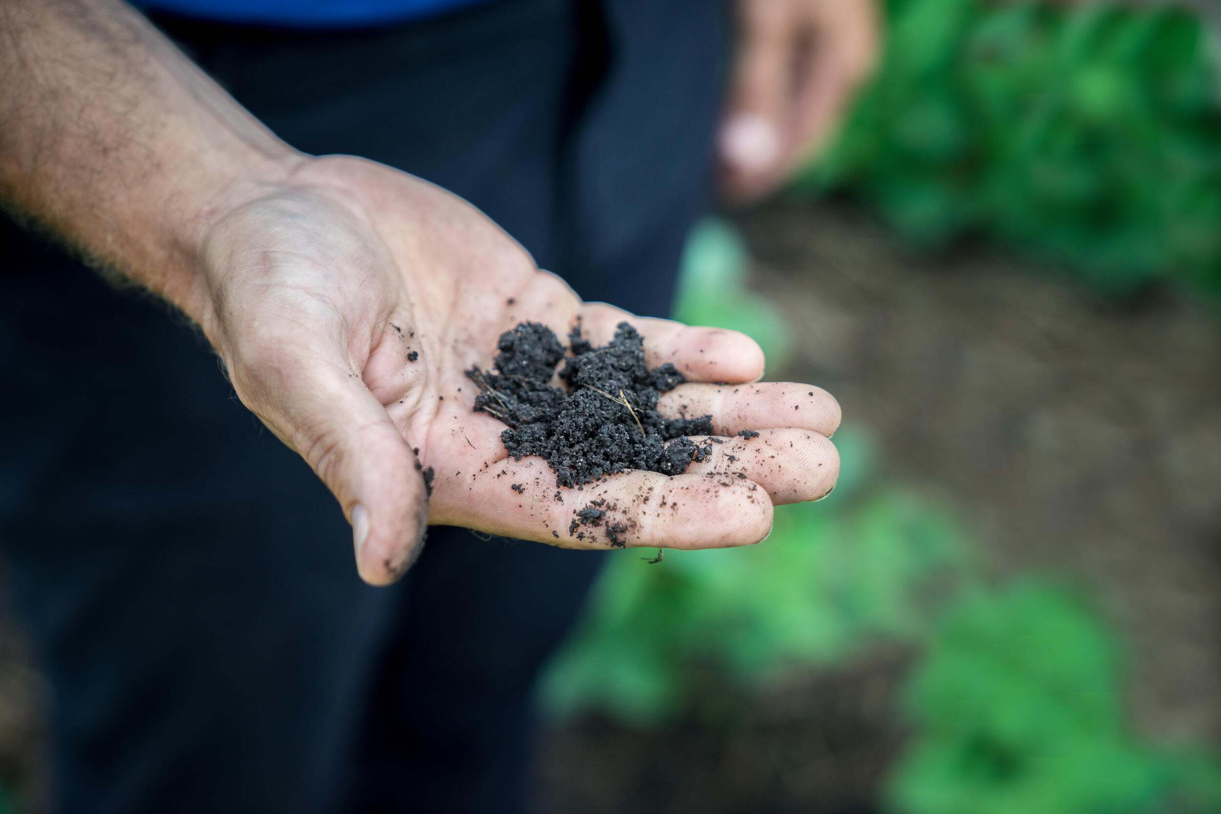 A hand holds a small collection of dark soil.