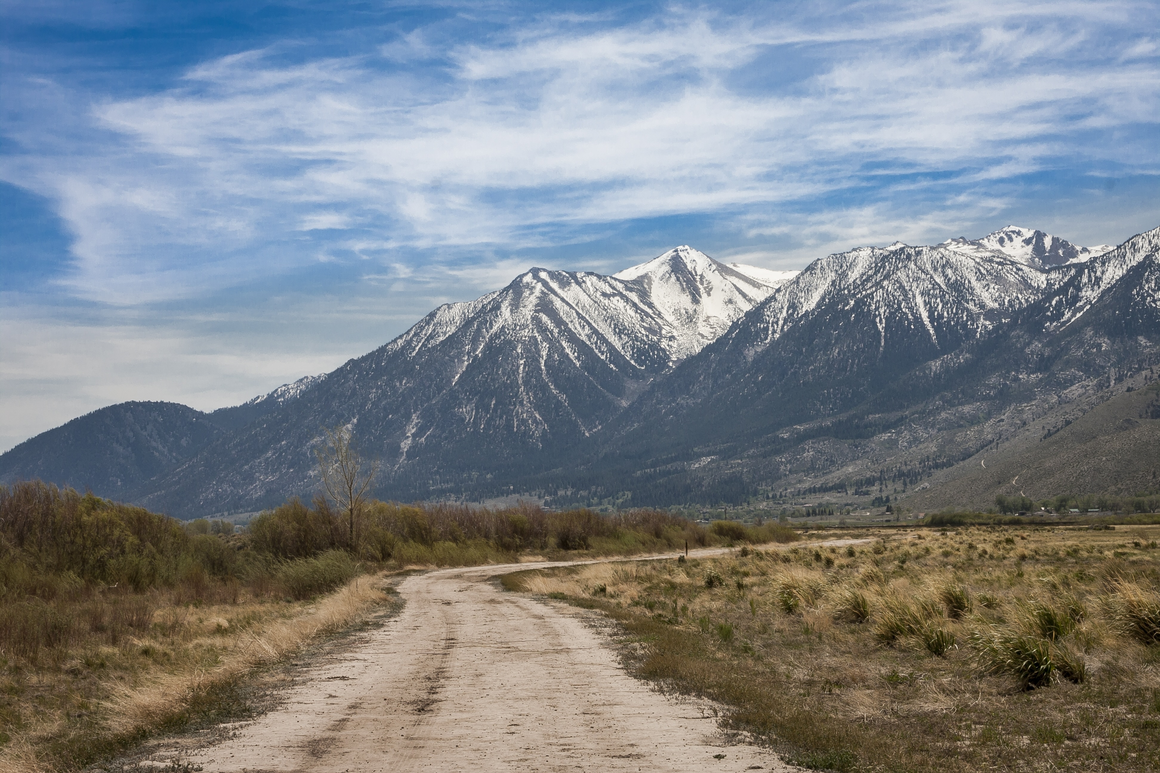 Landscape of a snow capped mountain with a road in the foreground and dried grass on either side.