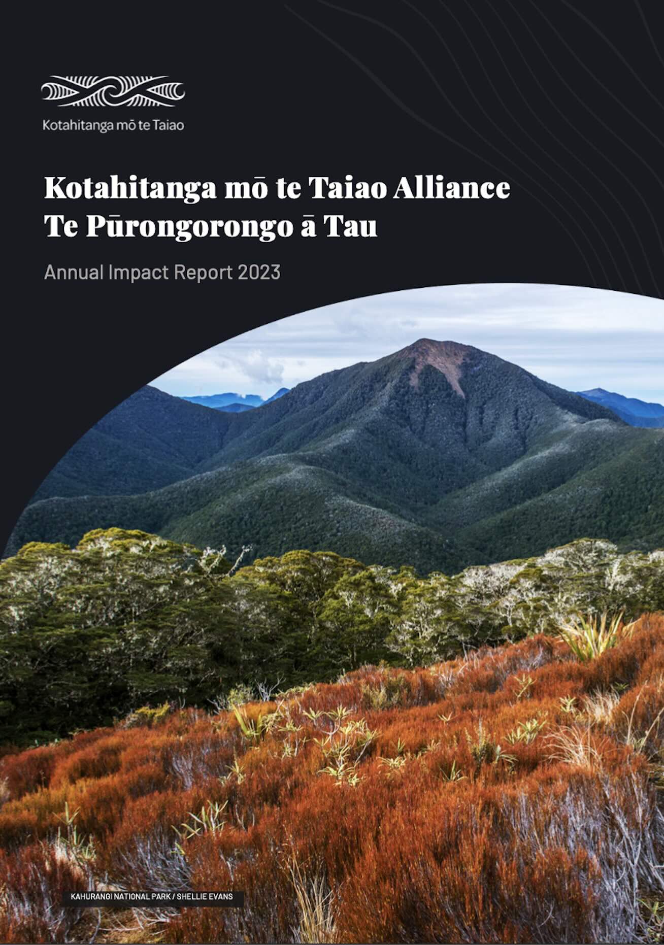 Hilly landscape of Kahurangi National Park