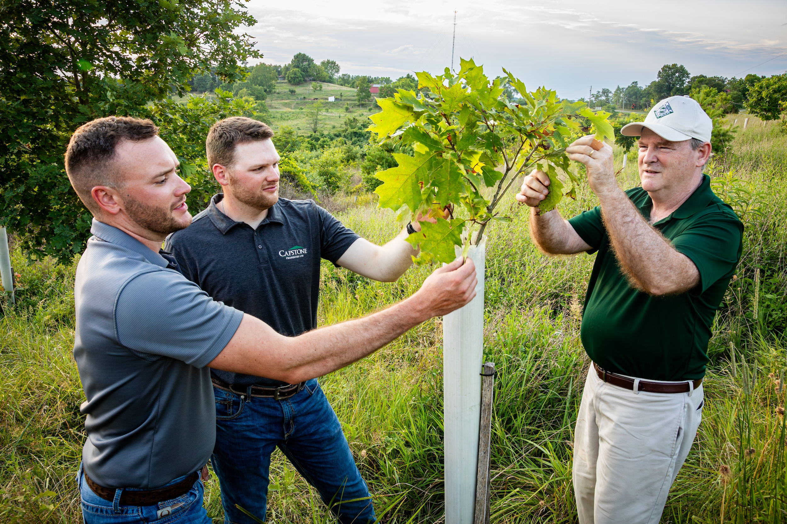 Three people inspect a sapling in a field.