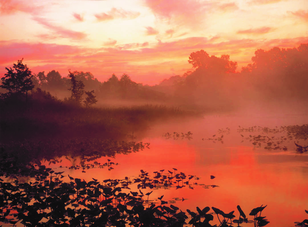 A red-tinted sunset washing over a wetland area.