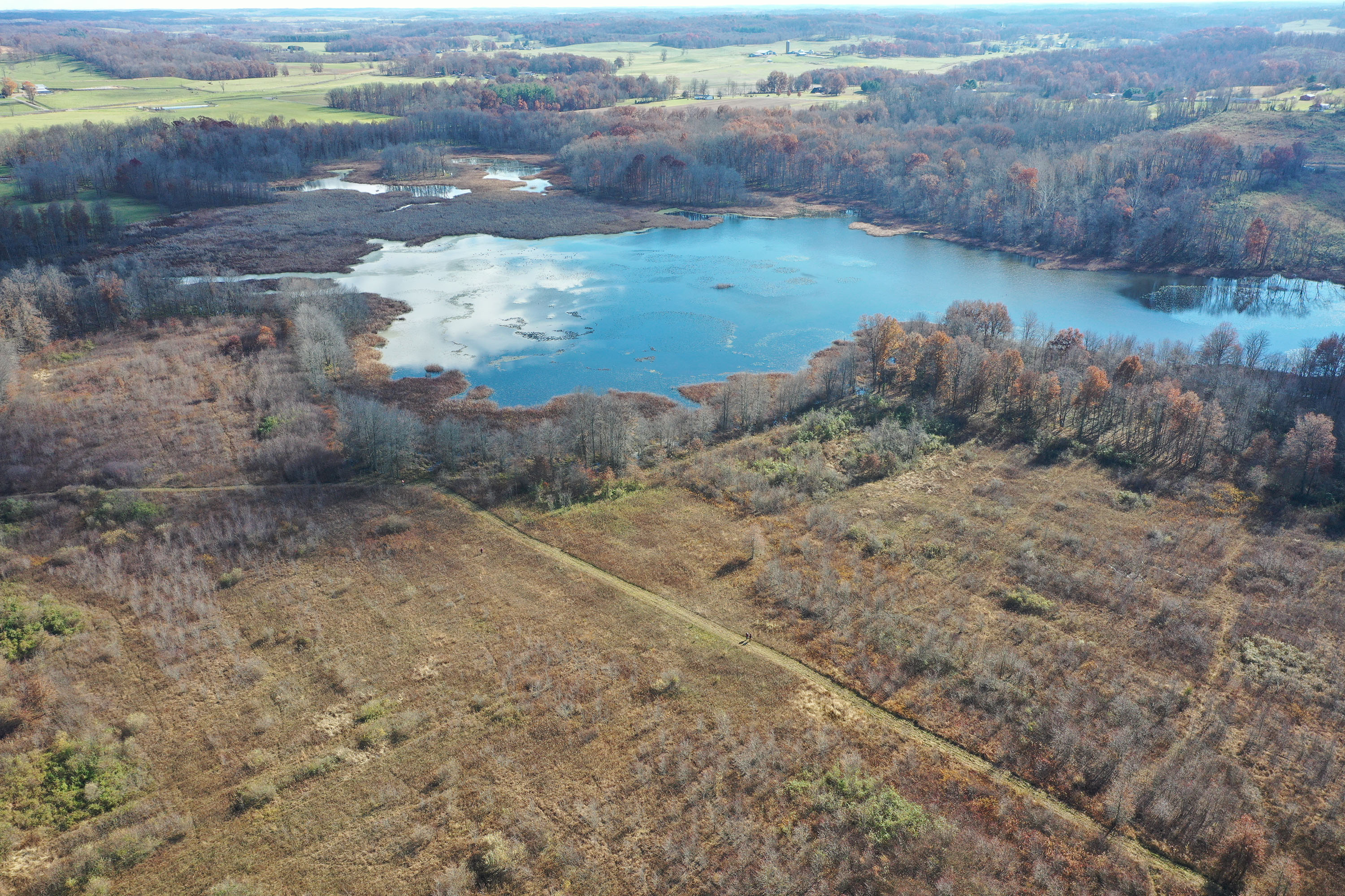 Aerial view of Baker Swamp surrounded by woodland habitat and fields in distance.