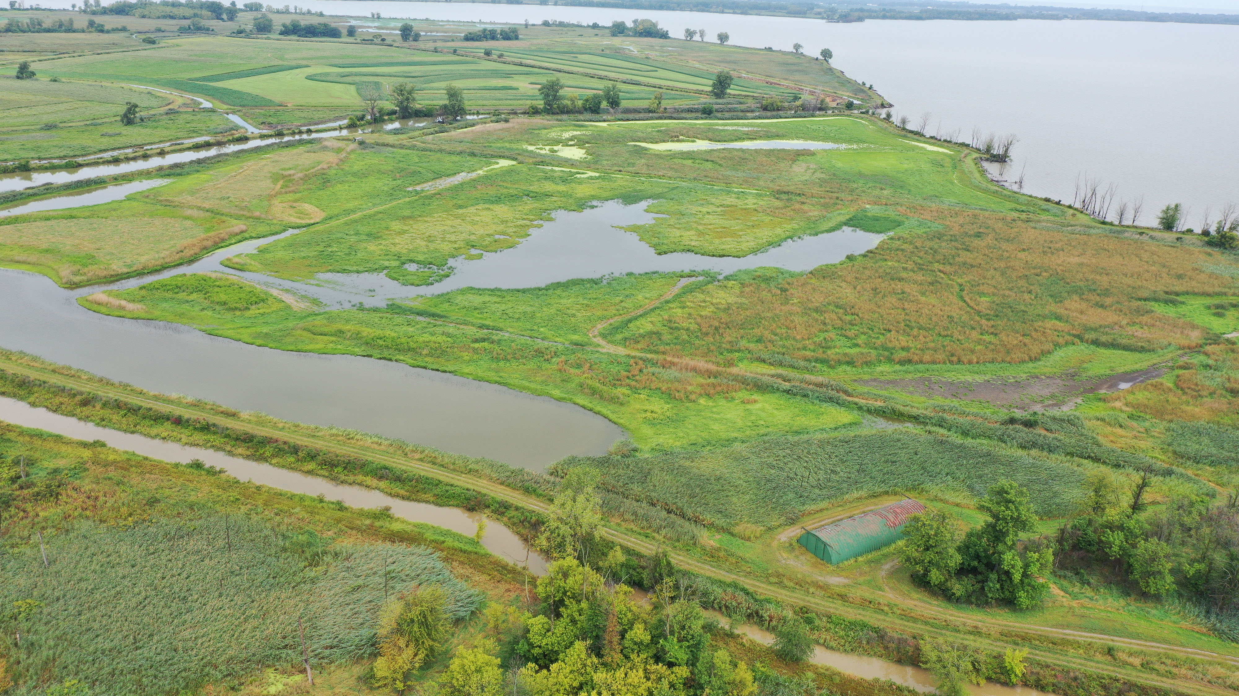 An aerial view of green ground between small bodies of water that make up the coastal wetlands along the shoreline of Sandusky Bay. 