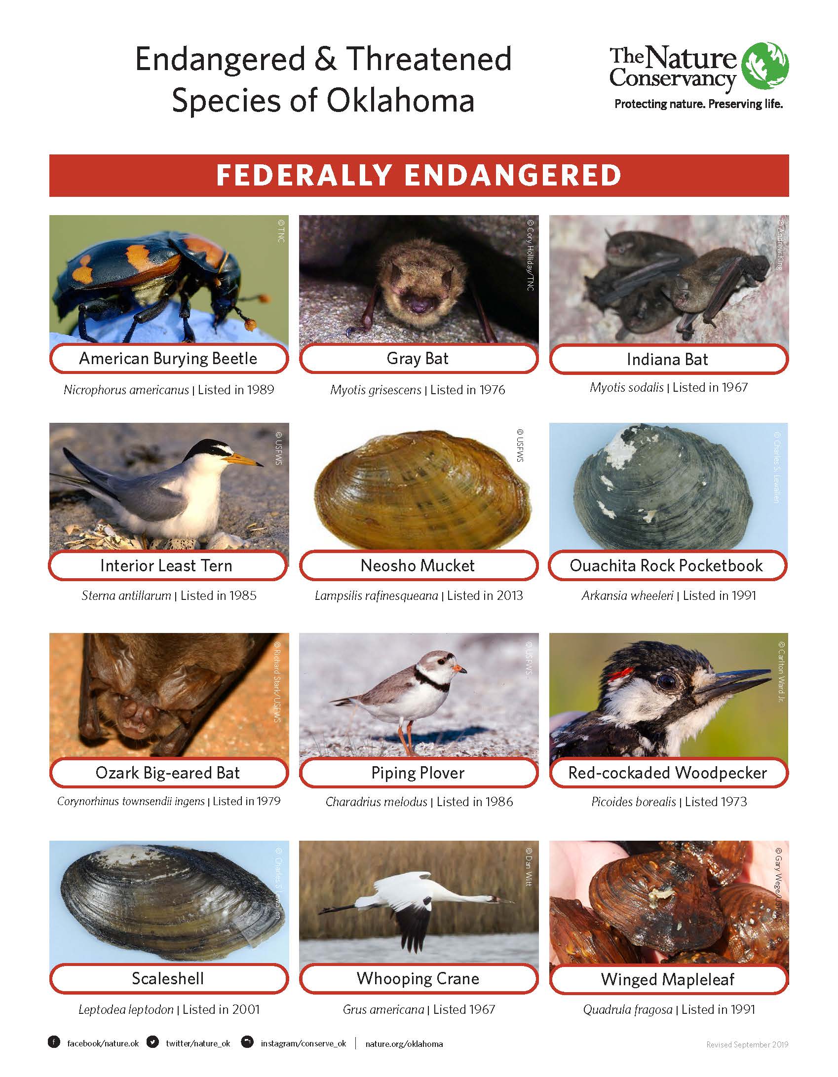 List of threatened and endangered species in Oklahoma.