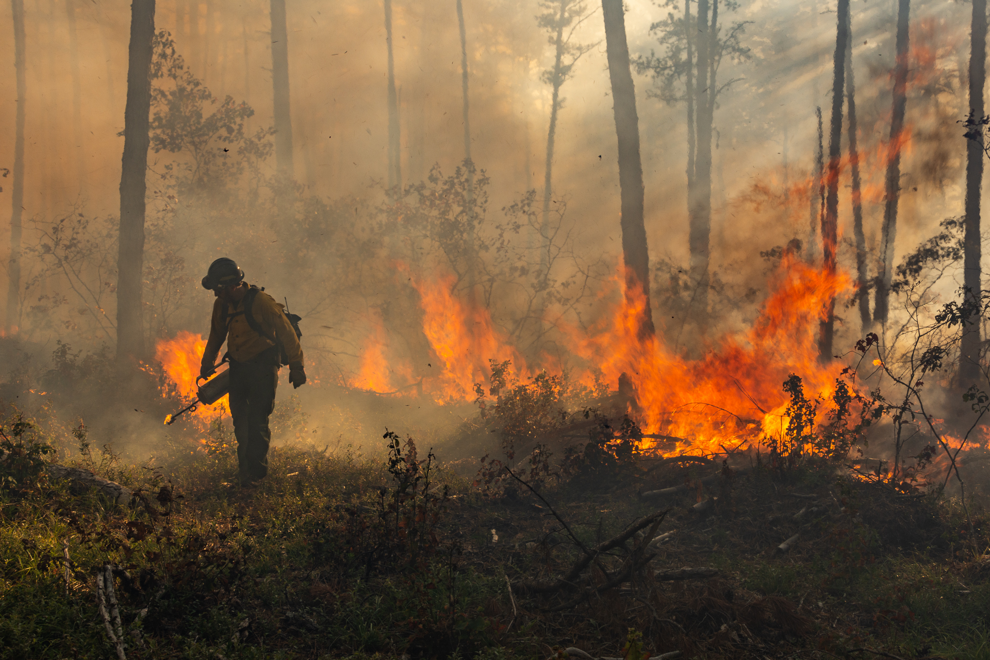 A person stands in the woods in yellow fire gear near an orange flame.
