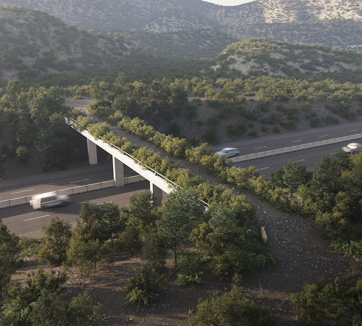 Wildlife overpass with hidden mountain lion.