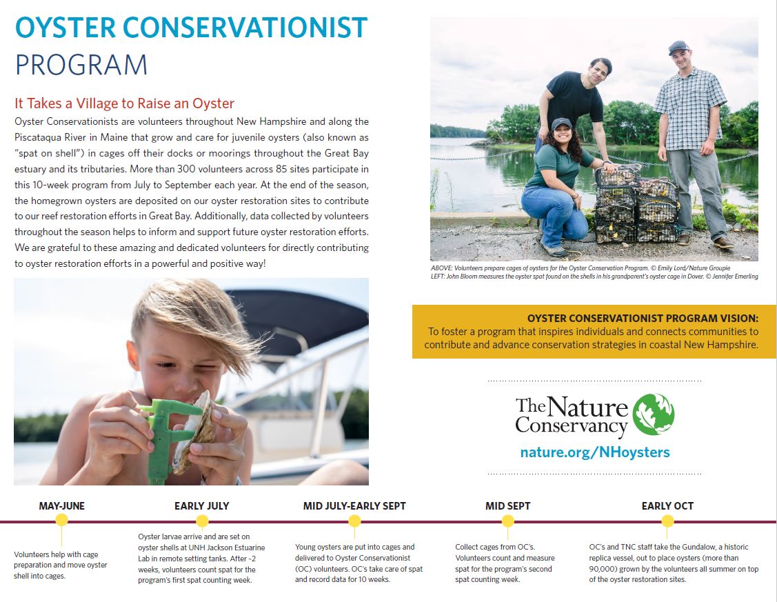 Oyster Conservation fact sheet.