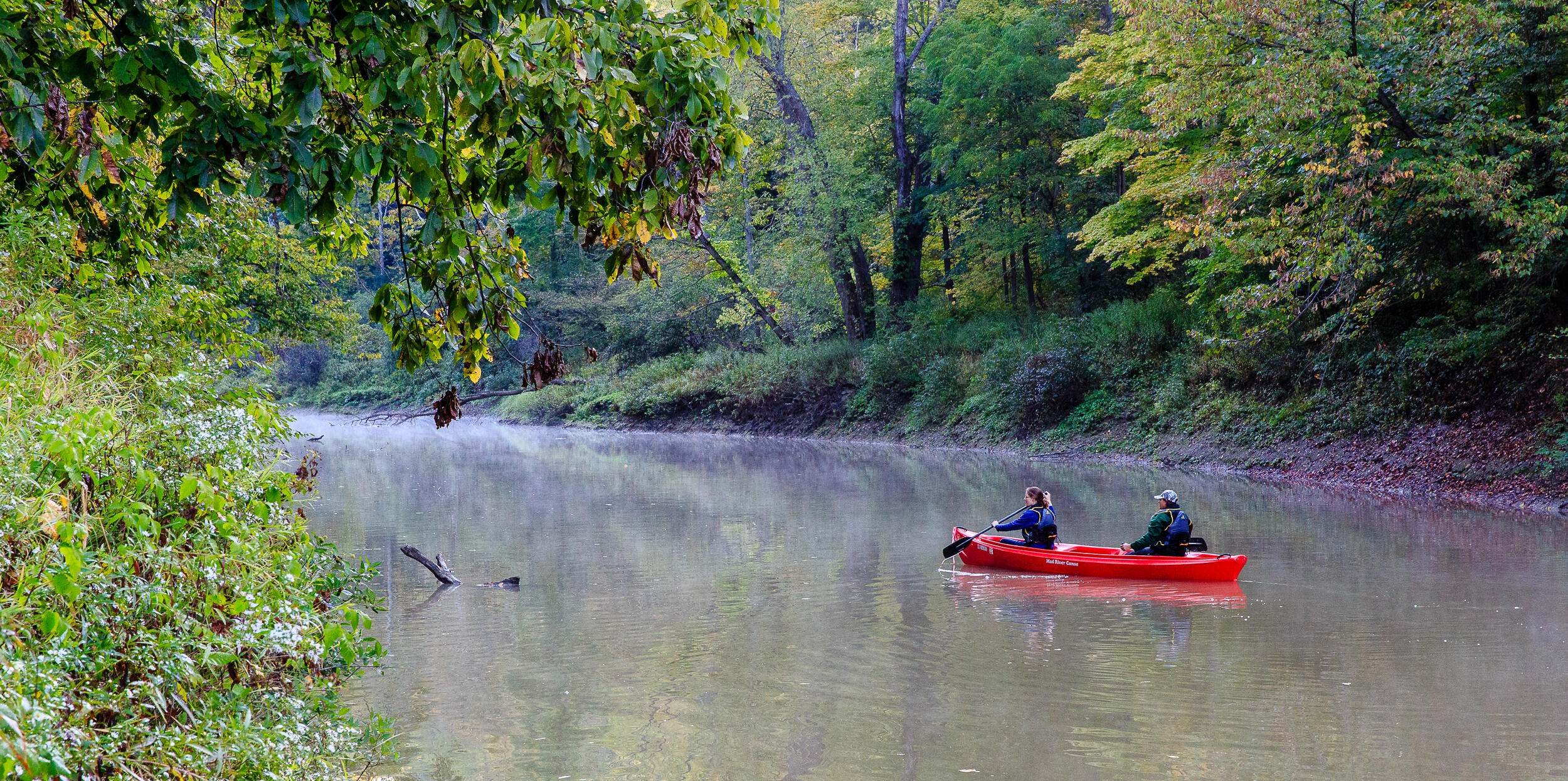 Two people in a canoe paddling down a river that is surrounded by forest on both banks. 