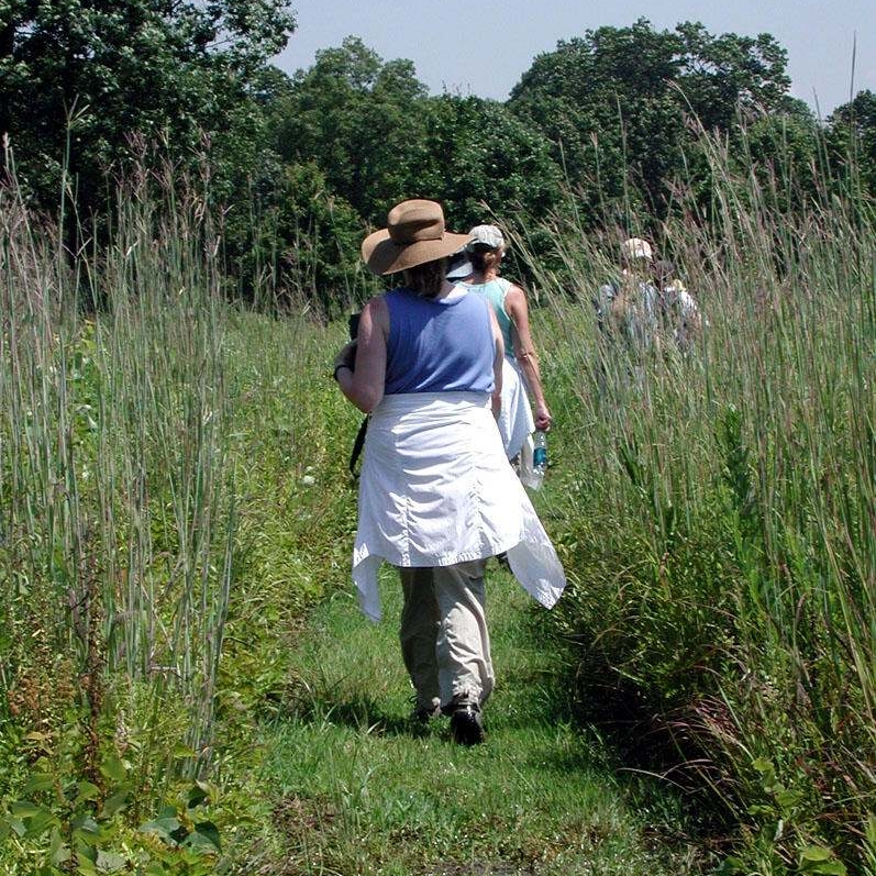 A group of people walking along a cleared grassy trail in an open clearing under a blue sky.