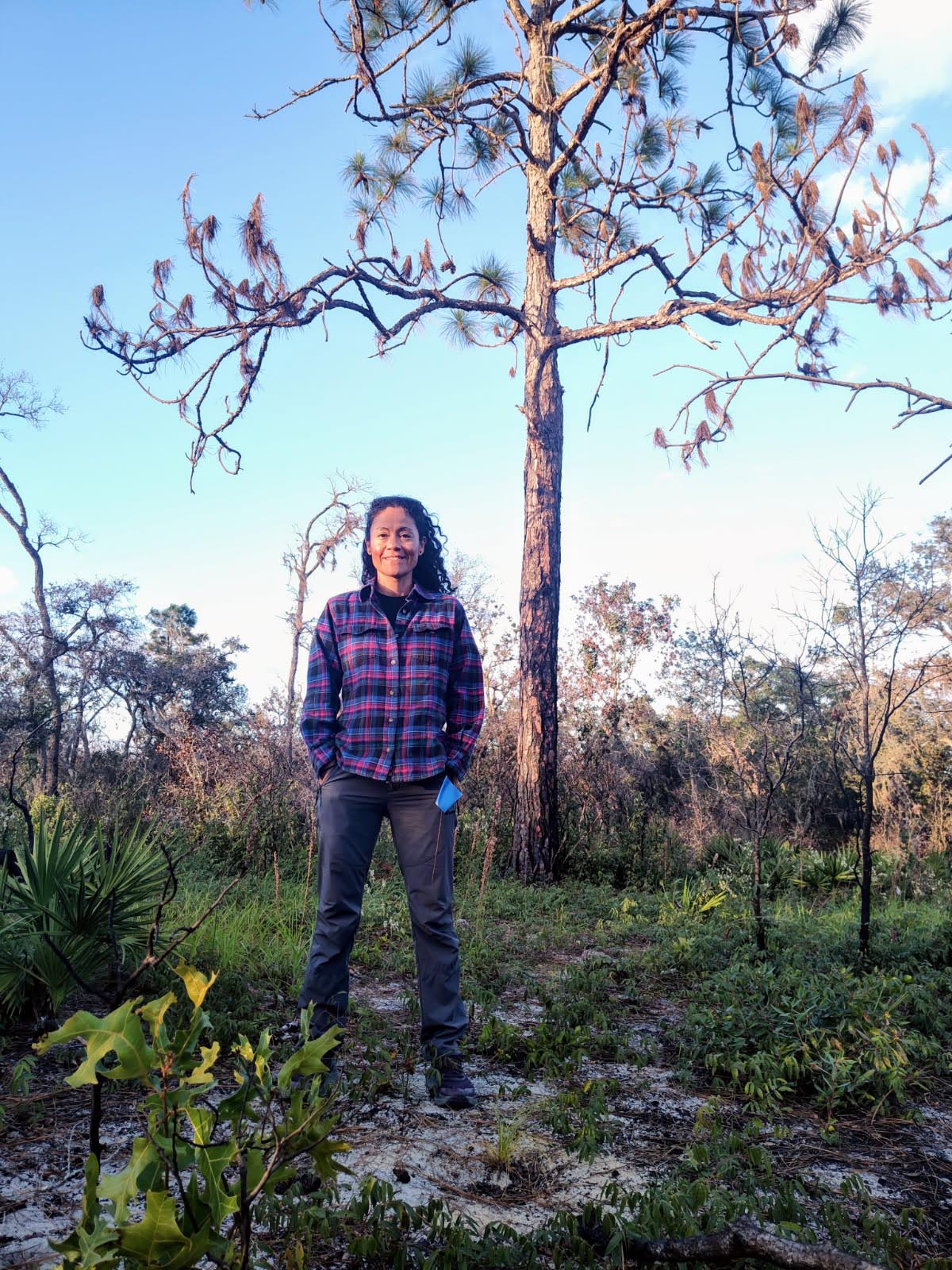 A volunteer standing near seedlings.