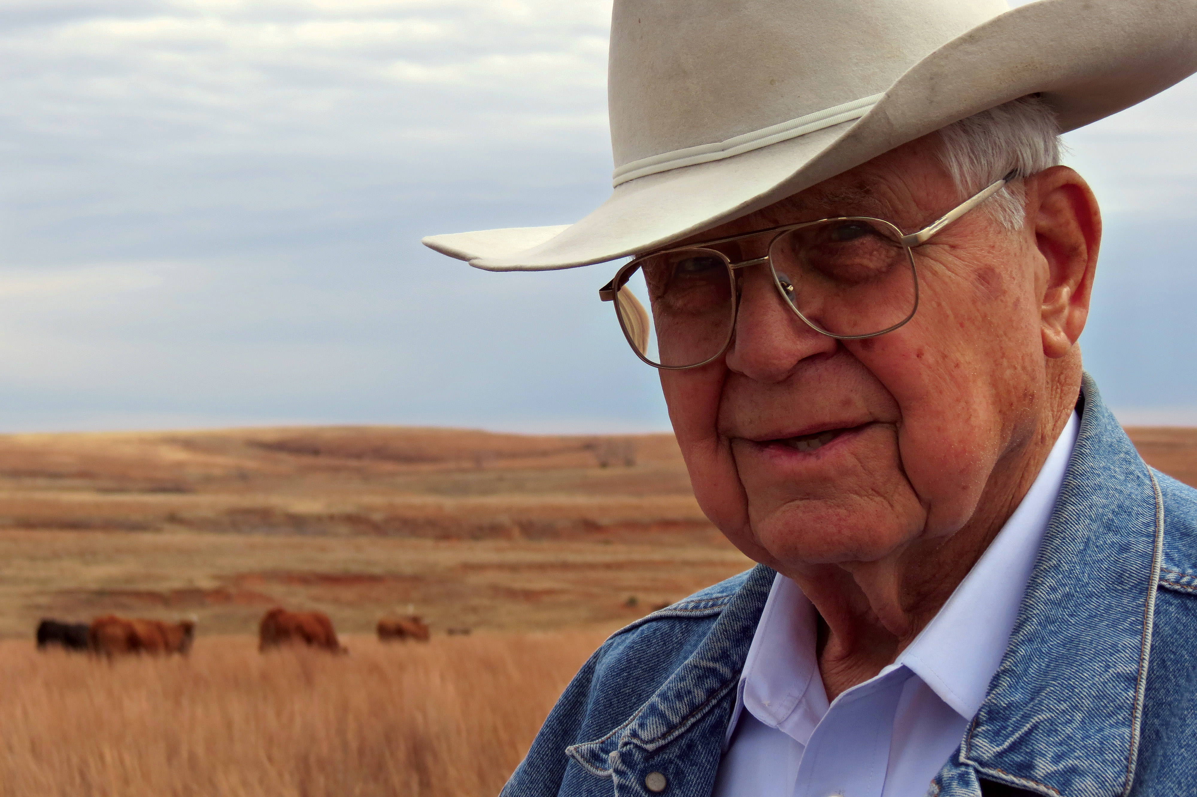 Man wearing cowboy hat with cows on ranch.