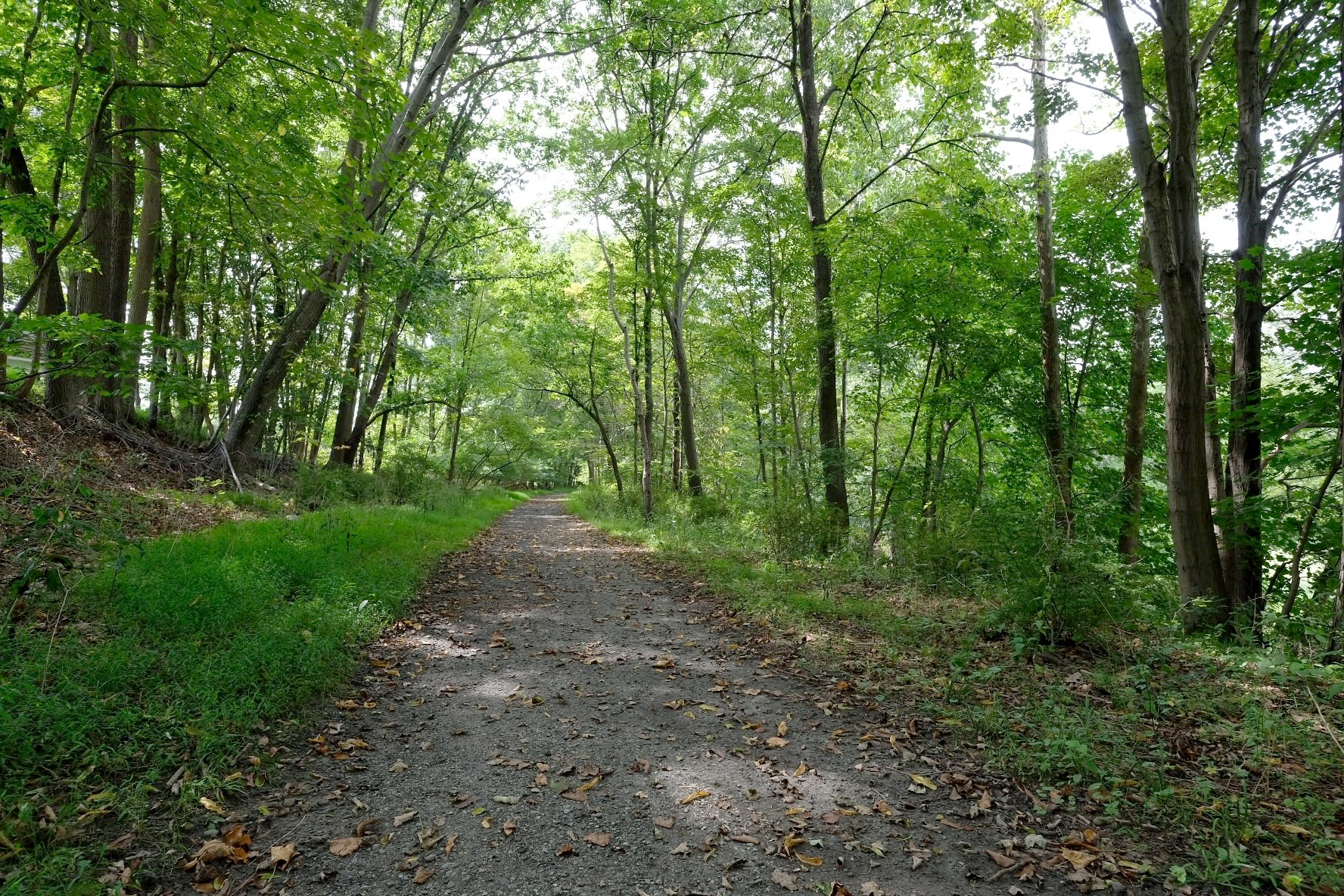 trail