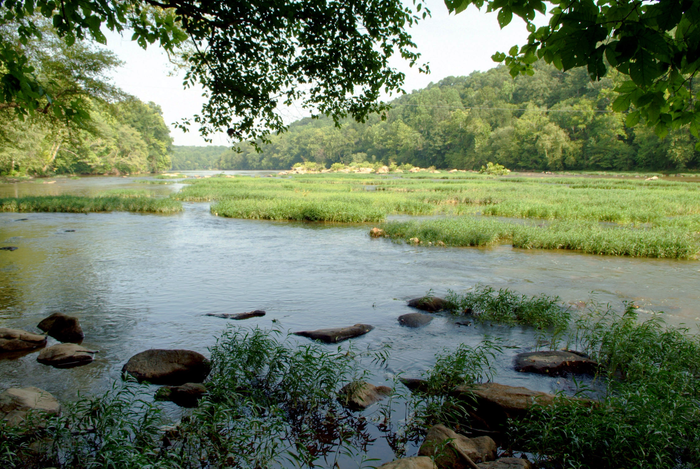 Calm waters of a river flow over rocks and through patches of green marsh.
