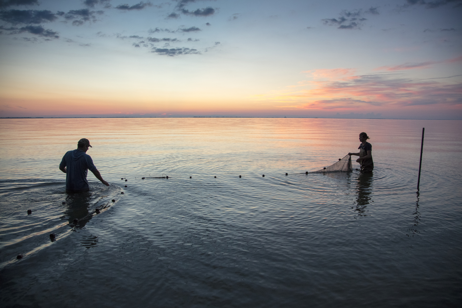 TNC staff set fish traps in Lake Eries at sunrise.