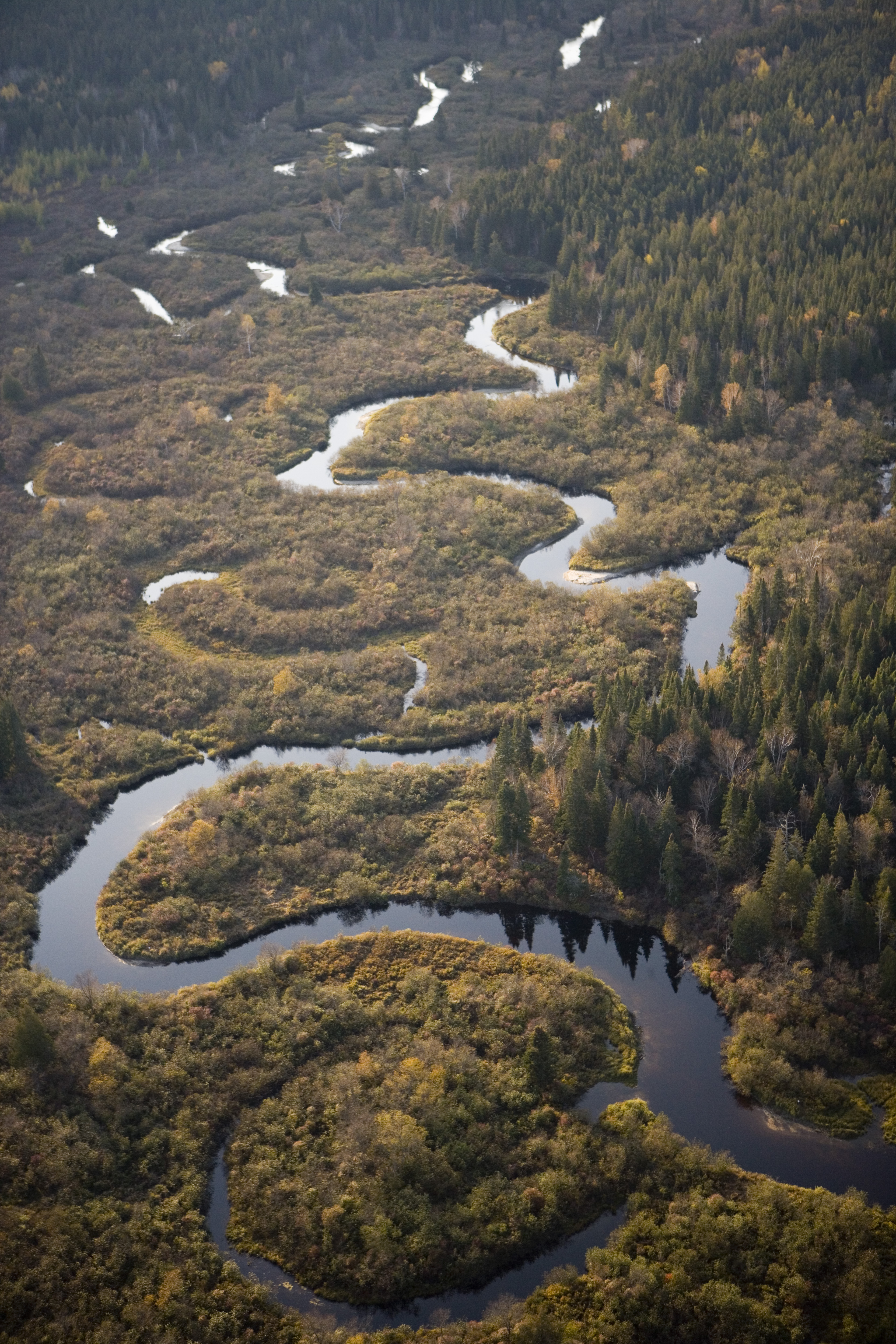 A river snakes through wetlands and forests.