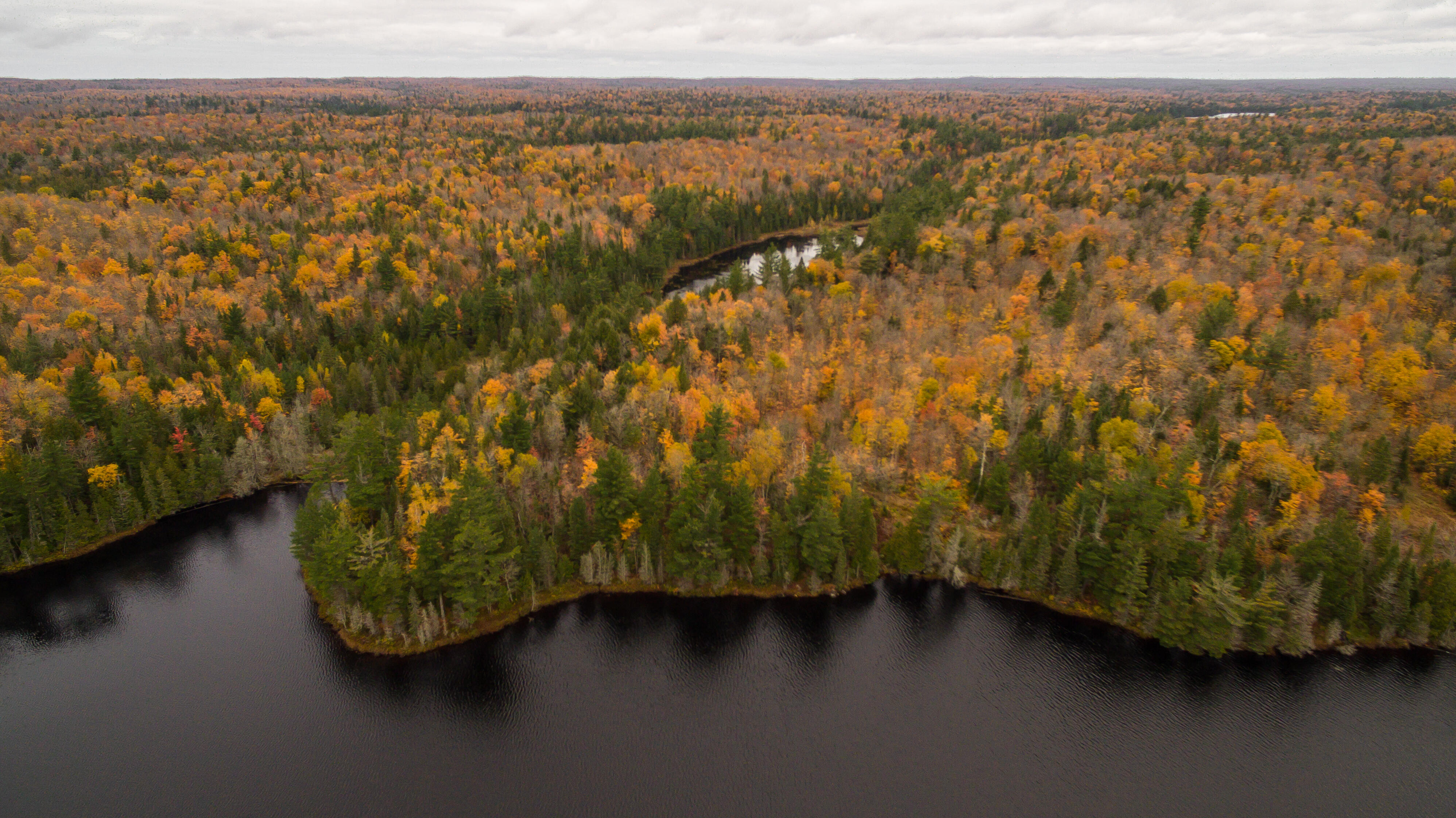 An aerial view of Wilderness Lakes Reserve in autumn.