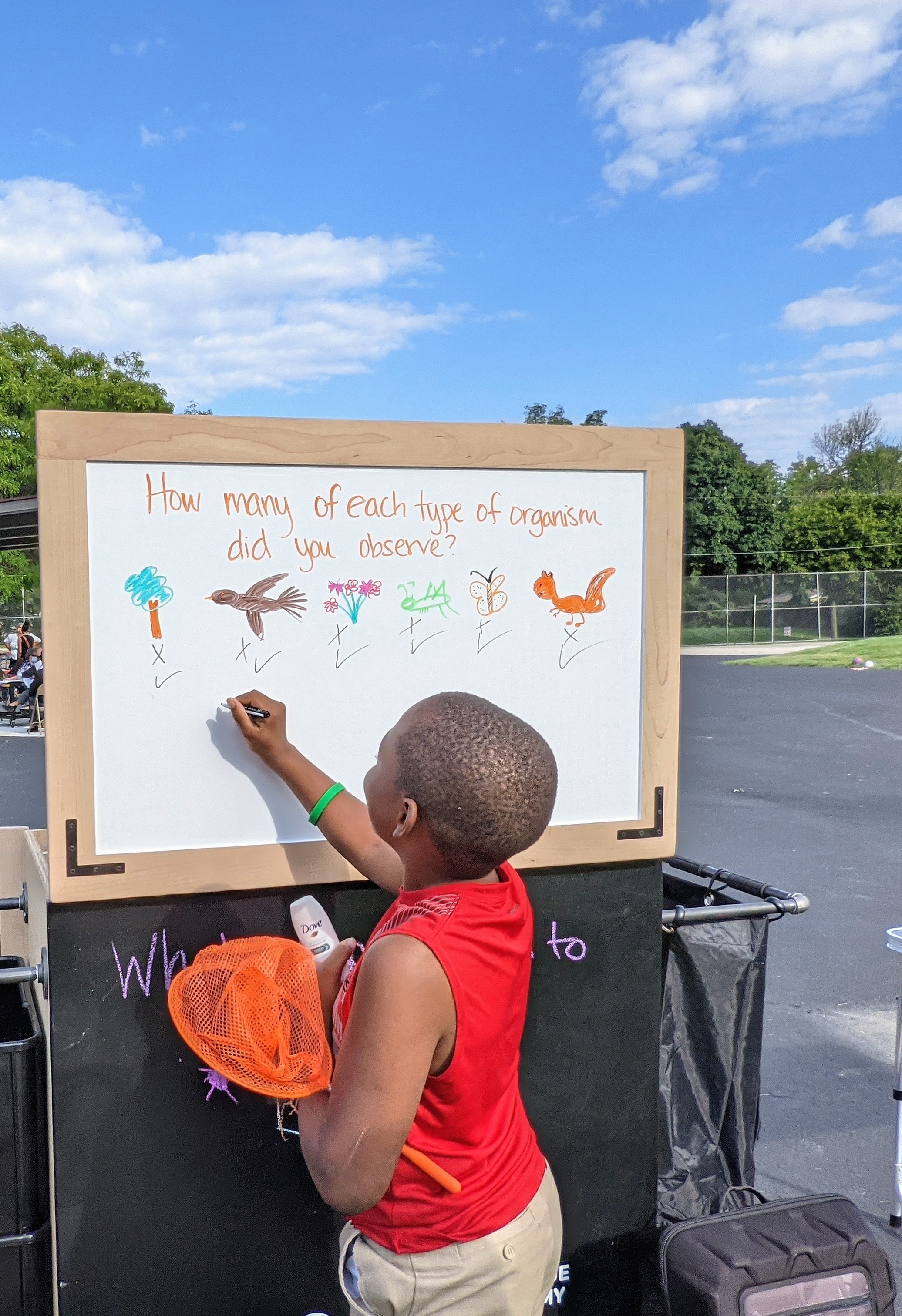 A child writes on a whiteboard indicating how many of certain species they saw outdoors.