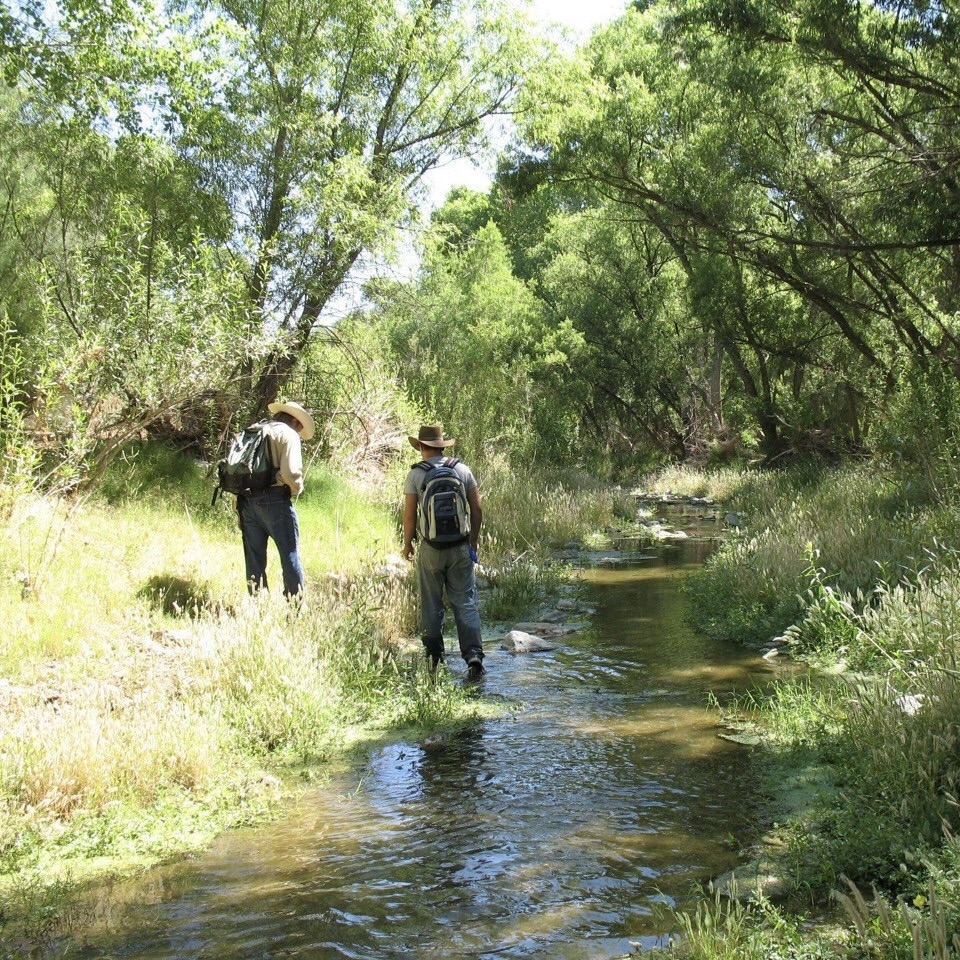 Two people stand in a shallow river with green vegetation and trees surrounding it.