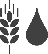 Illustrated icon of wheat crop and water droplet.