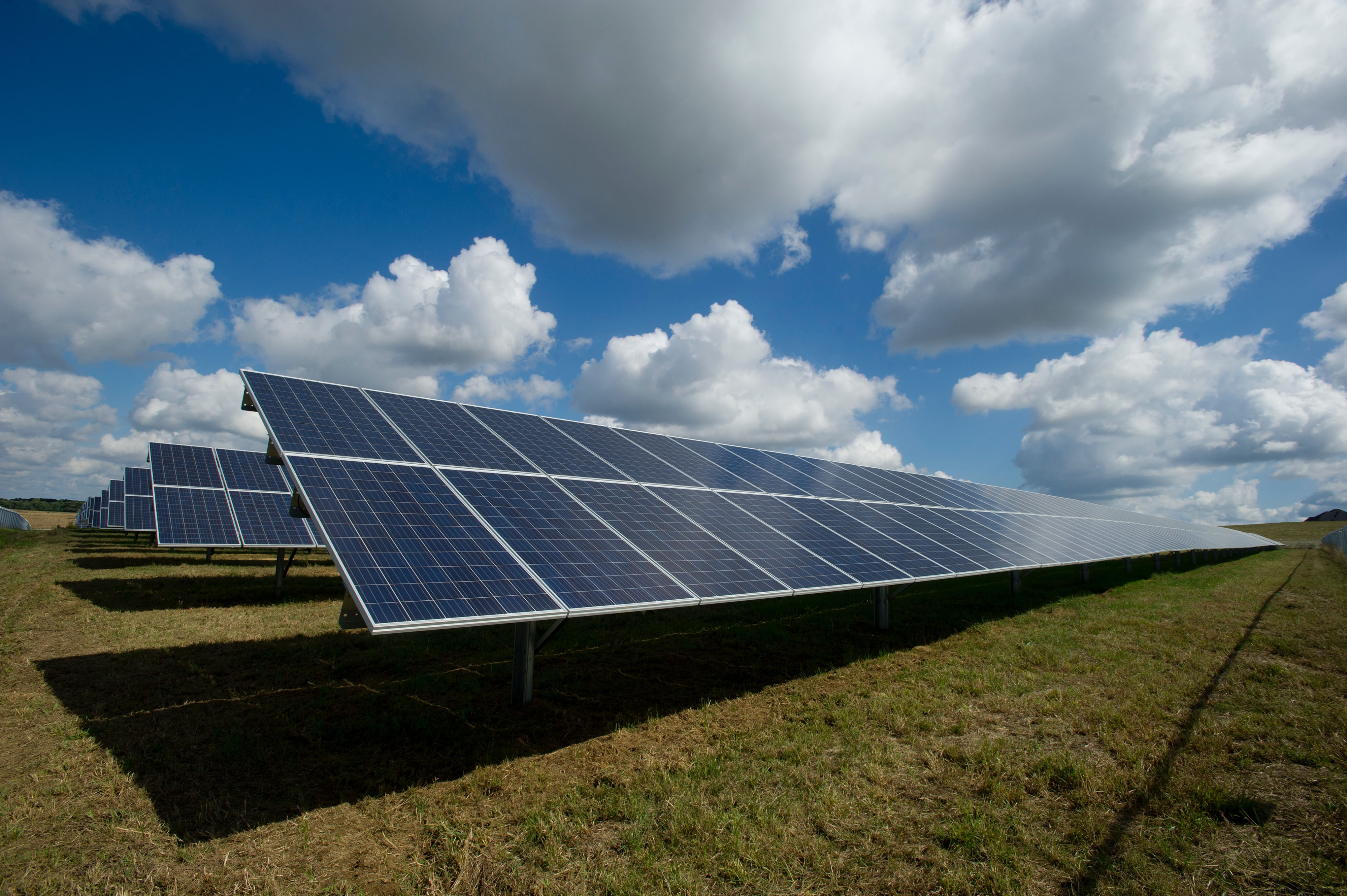 Solar panels in field under cloudy skies.