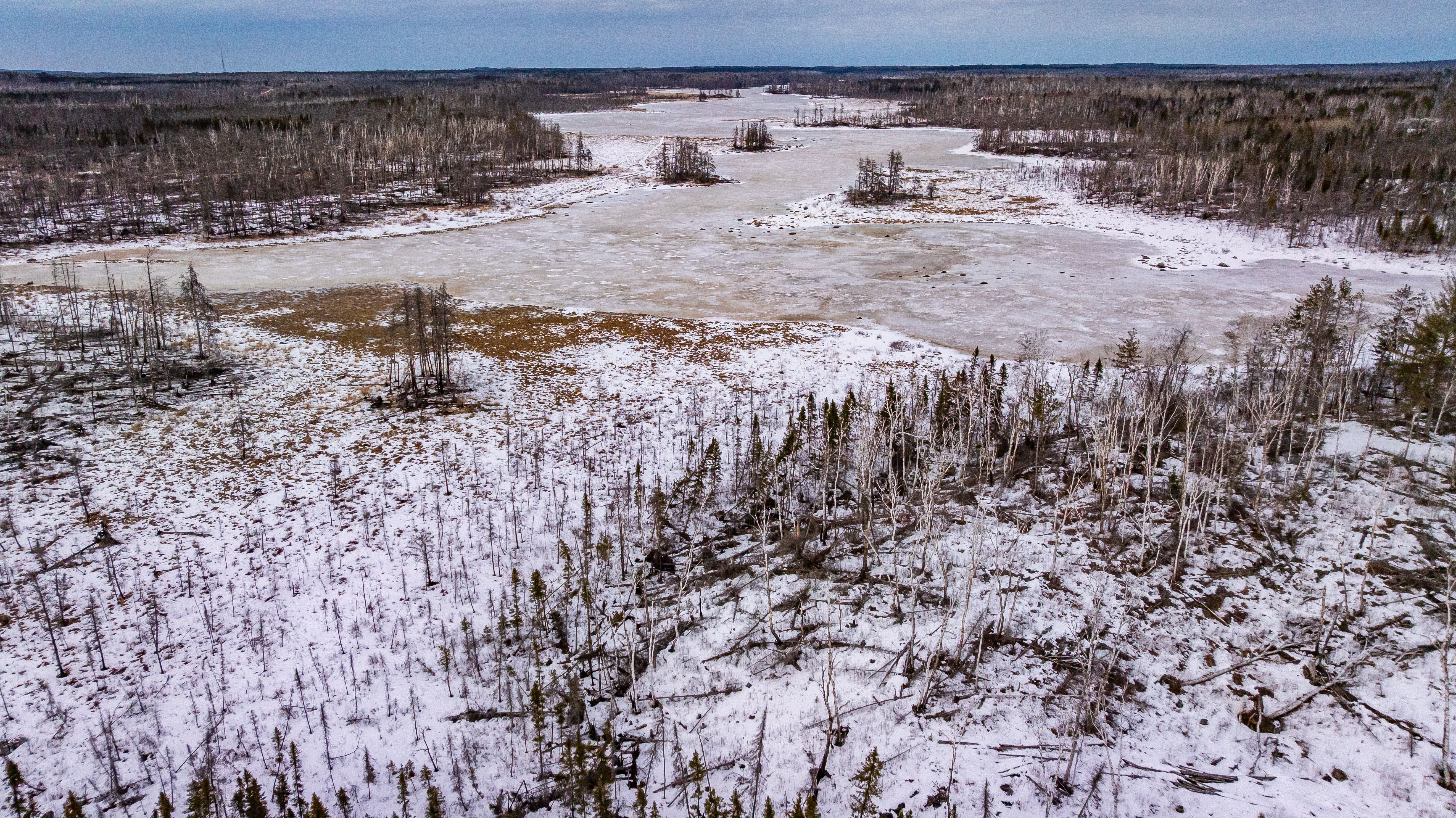 Snow-covered wetland in Minnesota.
