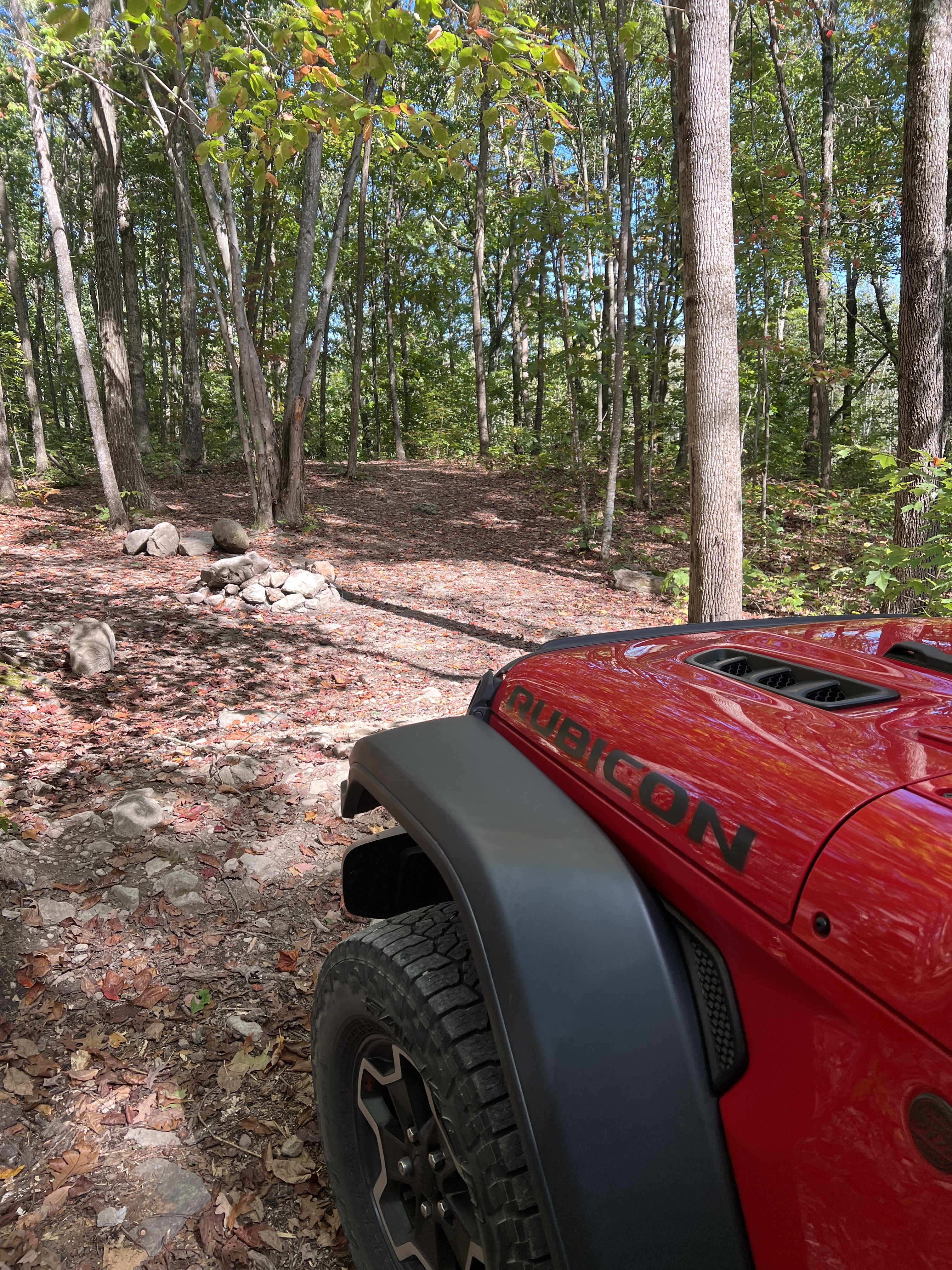 The photo shows the front of a red jeep drives through a backcountry road.