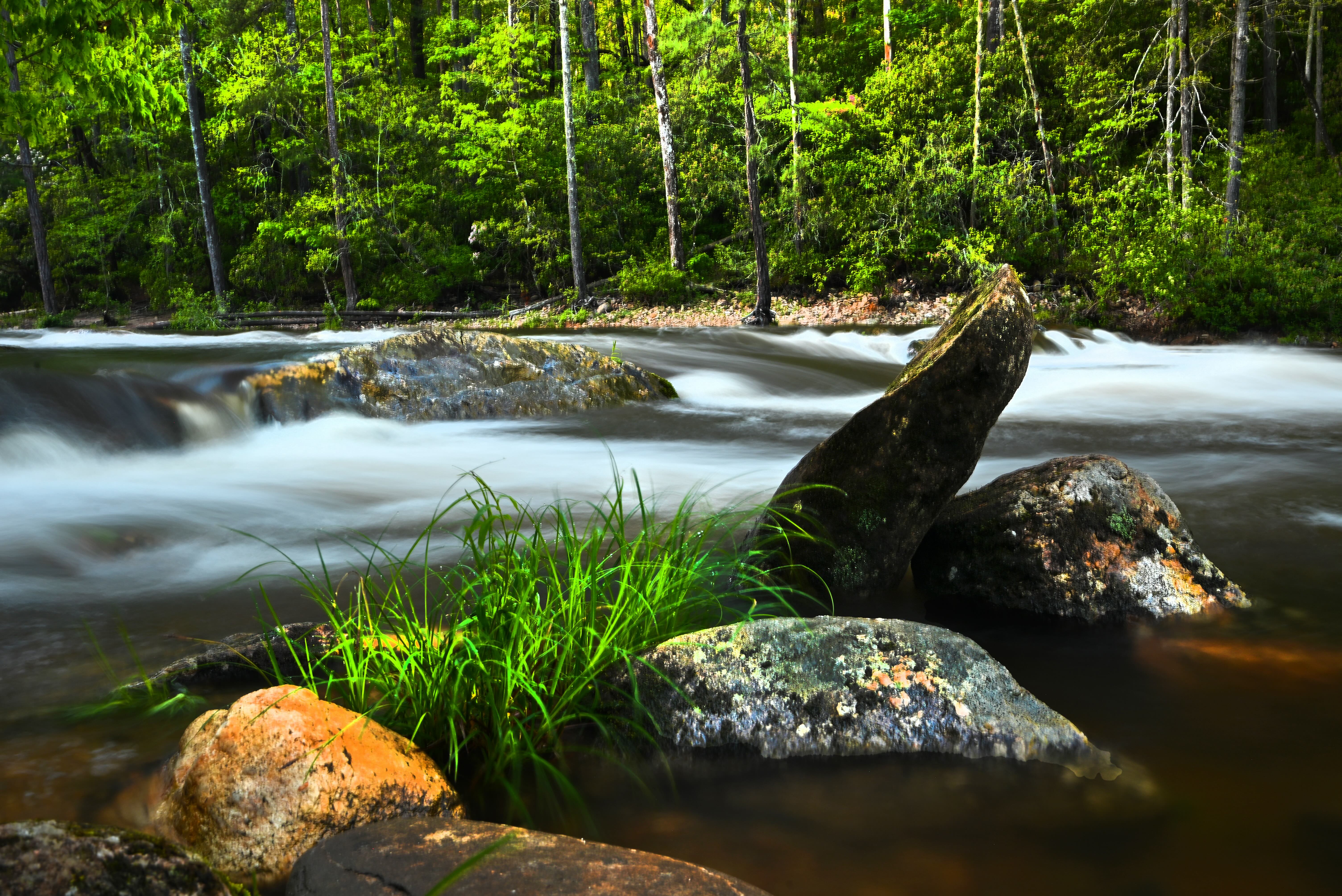 A river flows with rocks in the foreground and a forest in the background.
